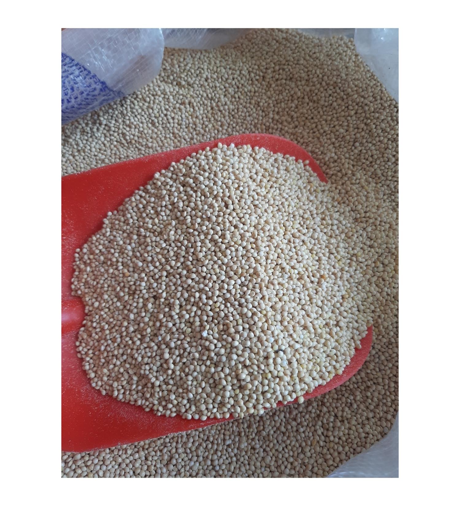 M&H Budgie Bird Food White Millet White Plain (5 Kg)