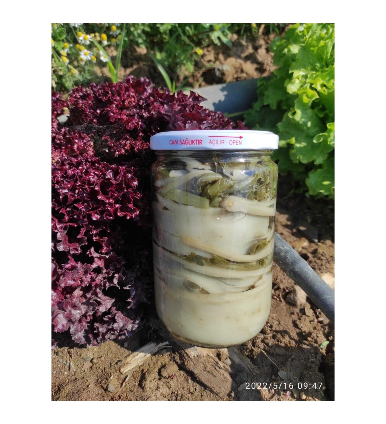 City of Cynara evket-i Bostan 660 Cc