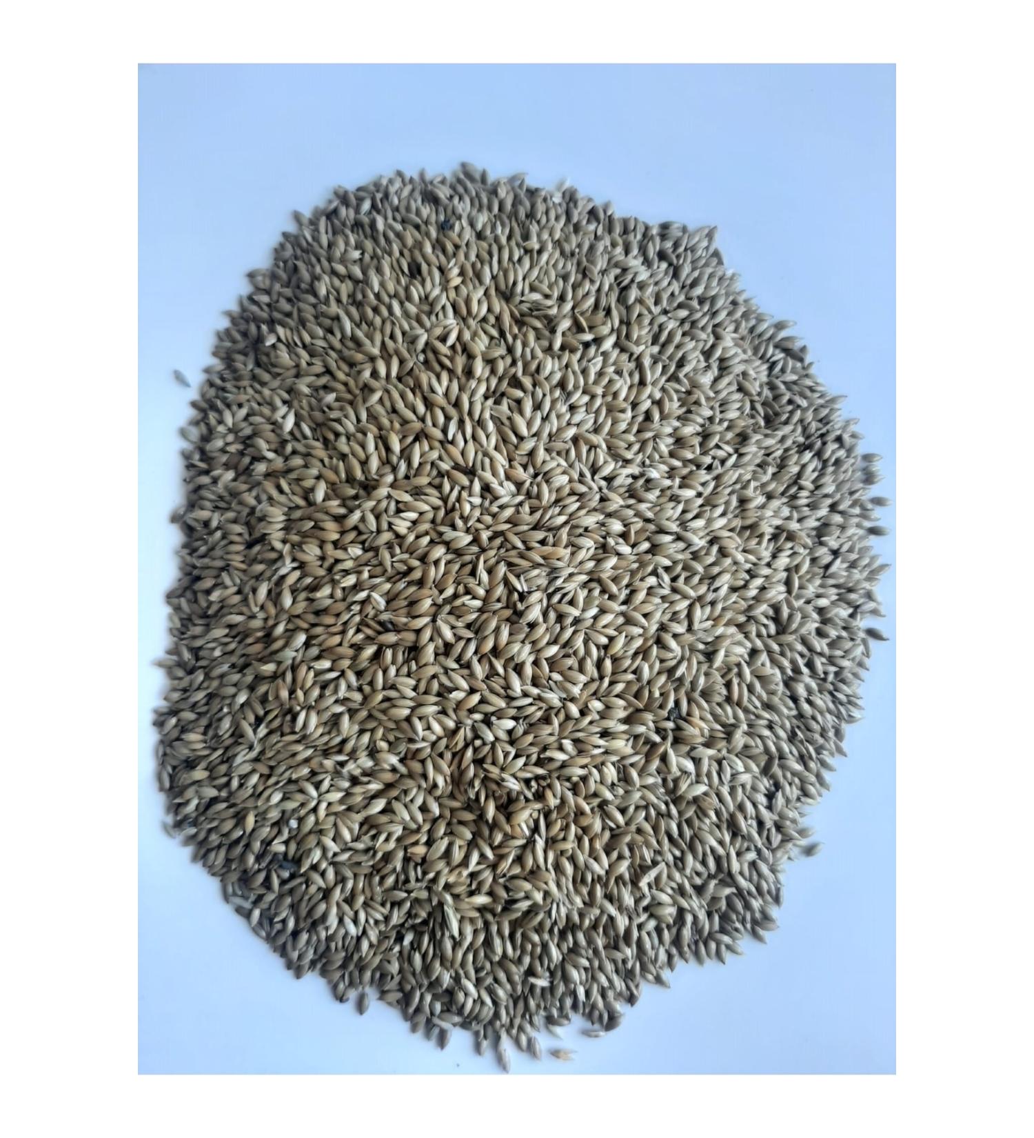 M&H Plain Canary Food Quality Light (2 Kilos)