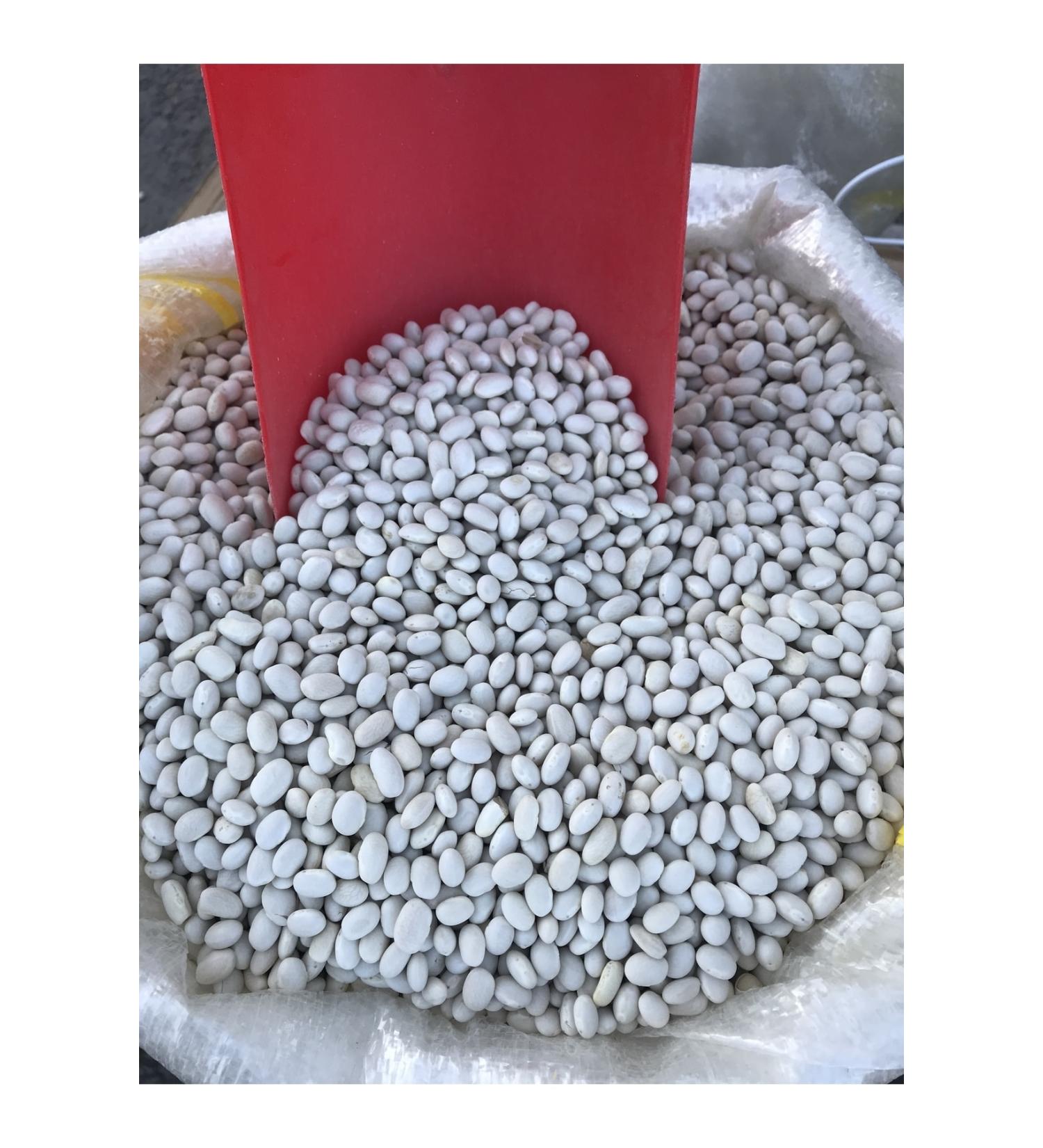 LocalOrganic Elaz Local Maden Village Beans 1 Kg