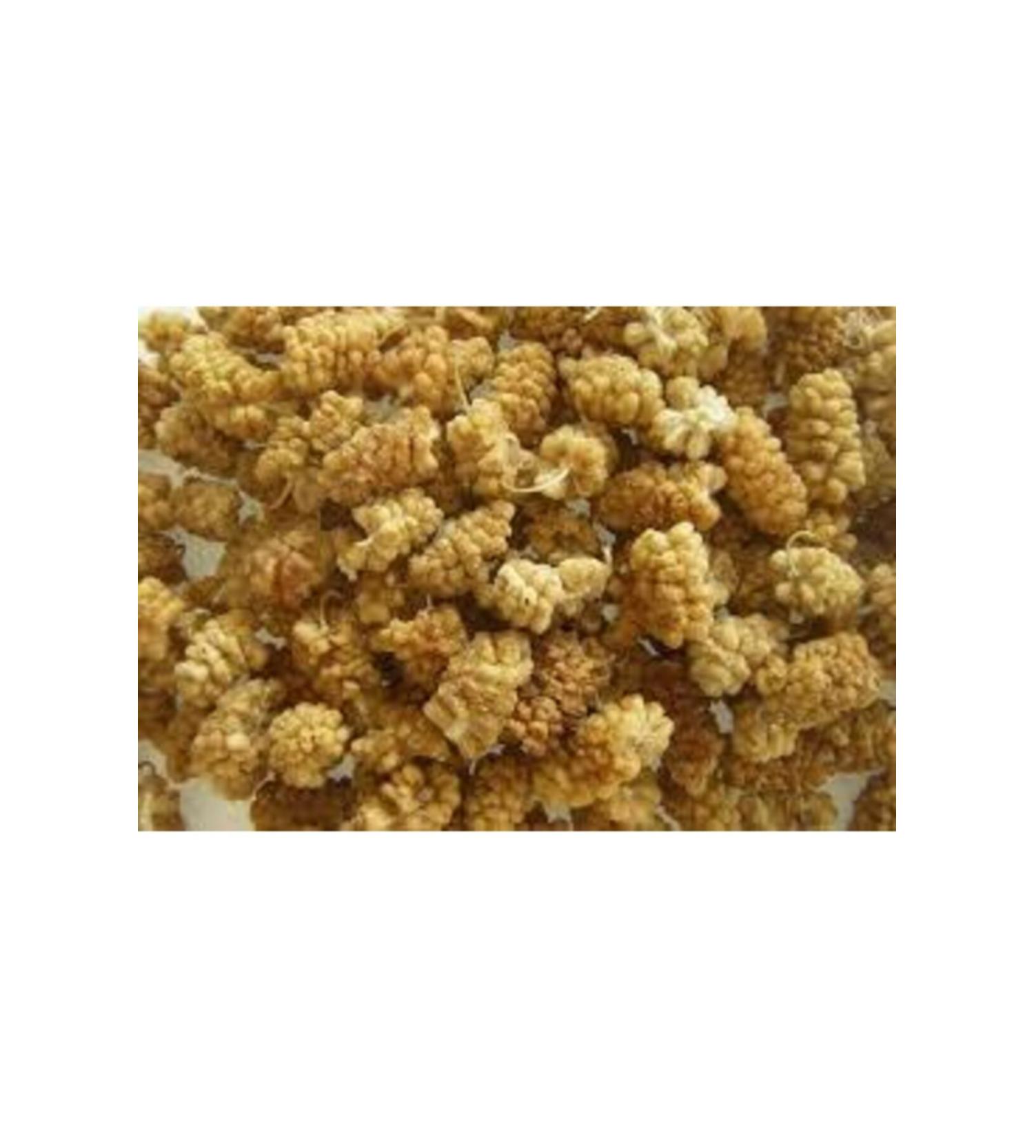 OrganickGida Dried Mulberry 1 Kg