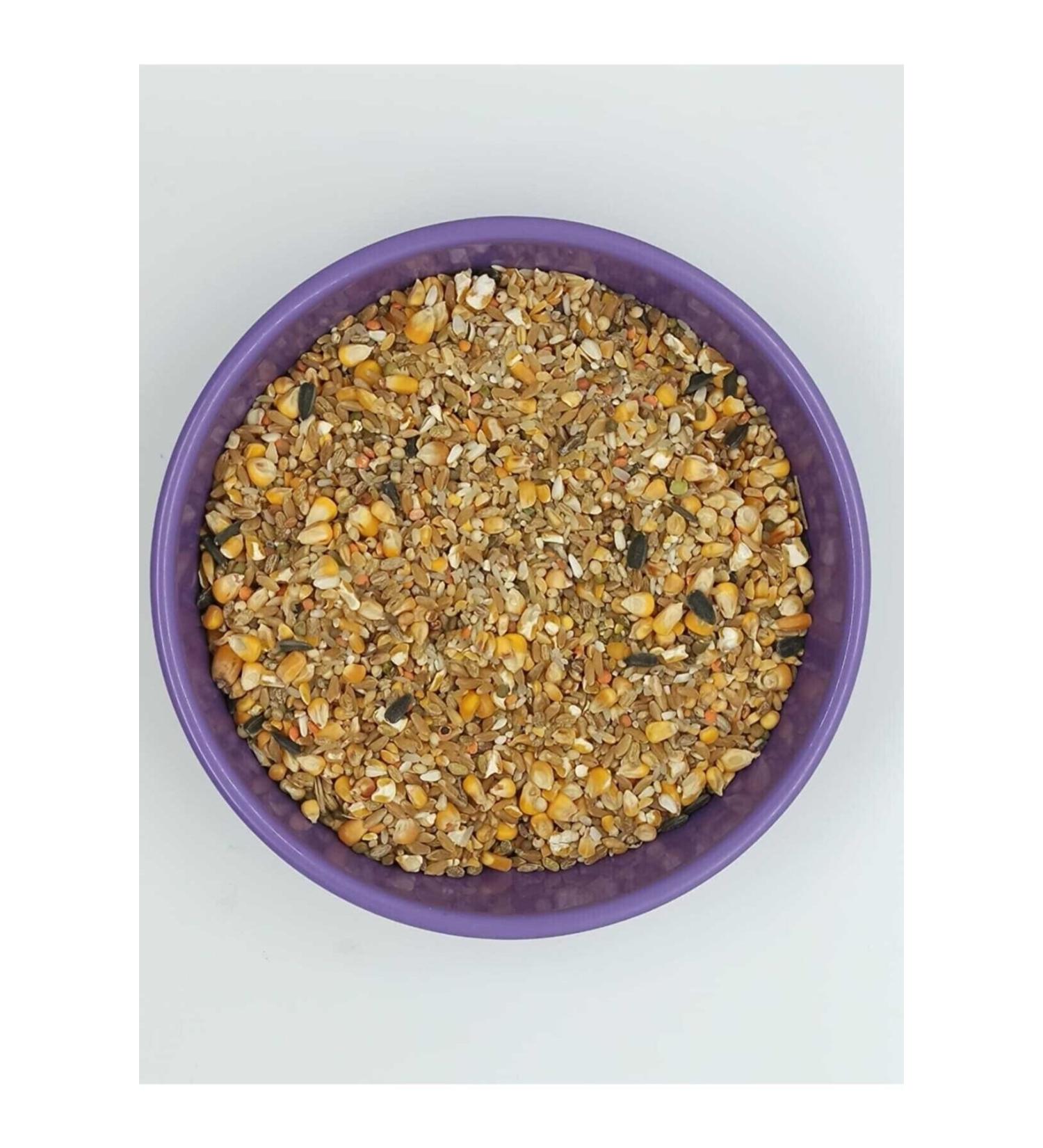 LDSG Chicken Egg Feed 4 Kg