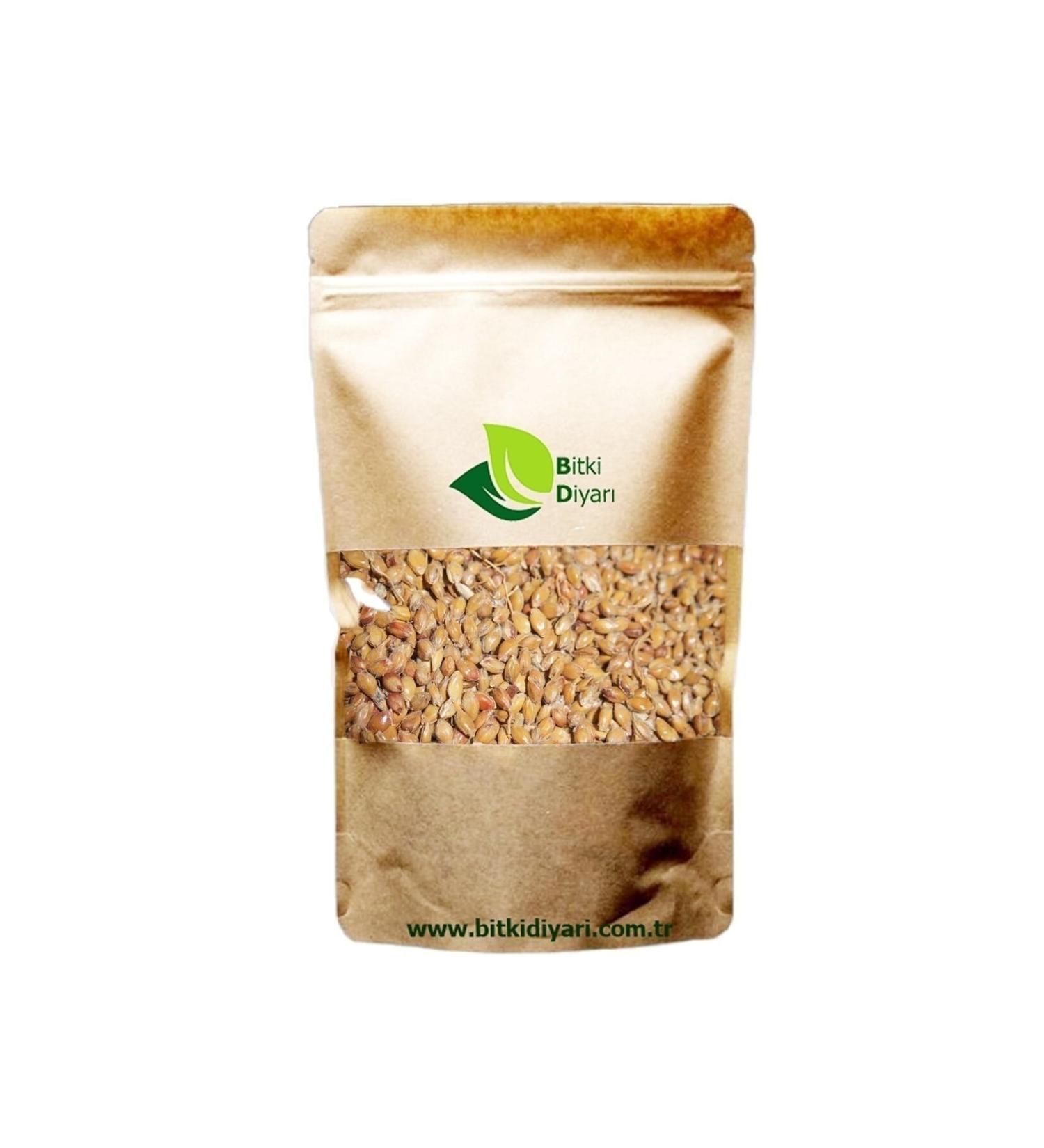 Plantland Broom Seed 500gr