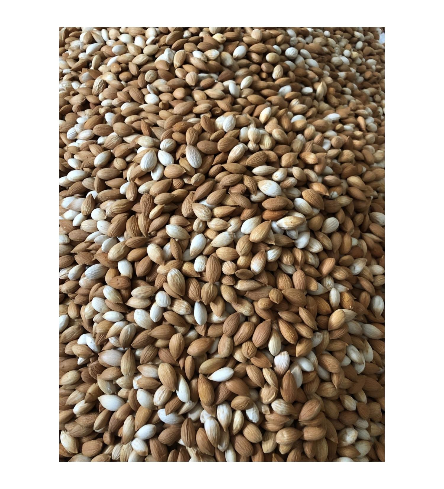 AB FOOD Yellow Apricot Kernels Sulfur 1 Kg