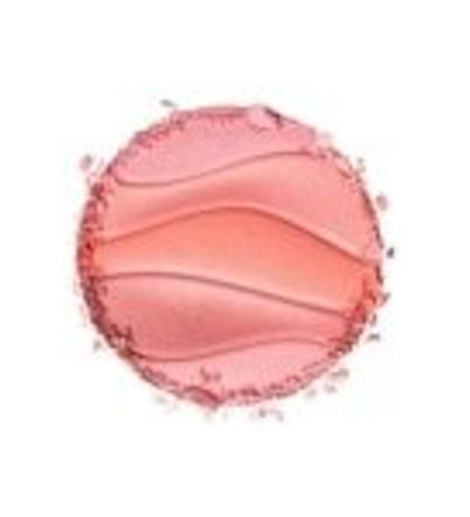 Physicians Formula Butter Blush Pink Sands Blush