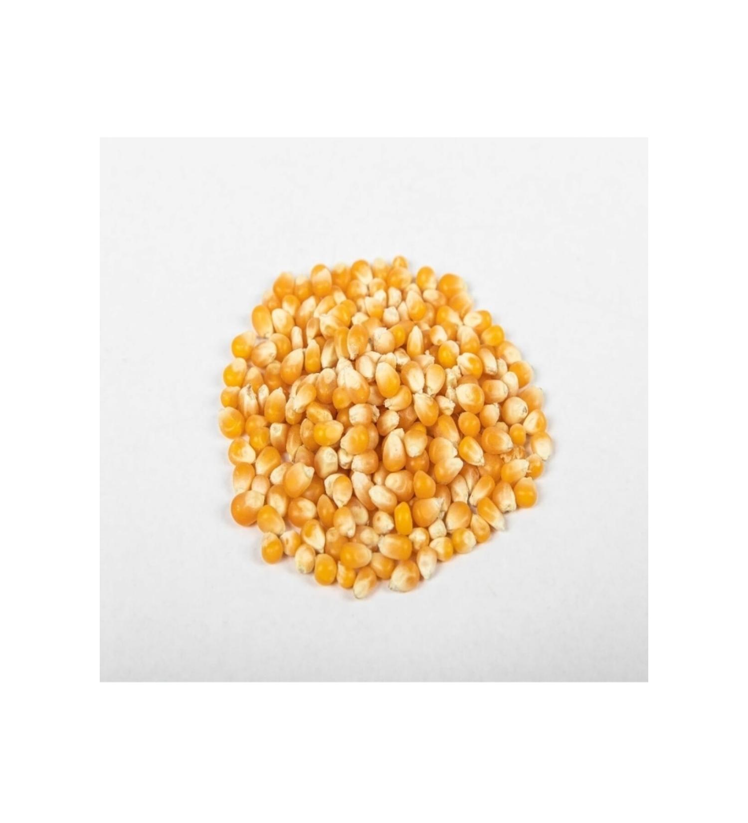 Asenya Grain Corn 10 Kg Feed Corn Feed Corn Animal Feed Corn Feed
