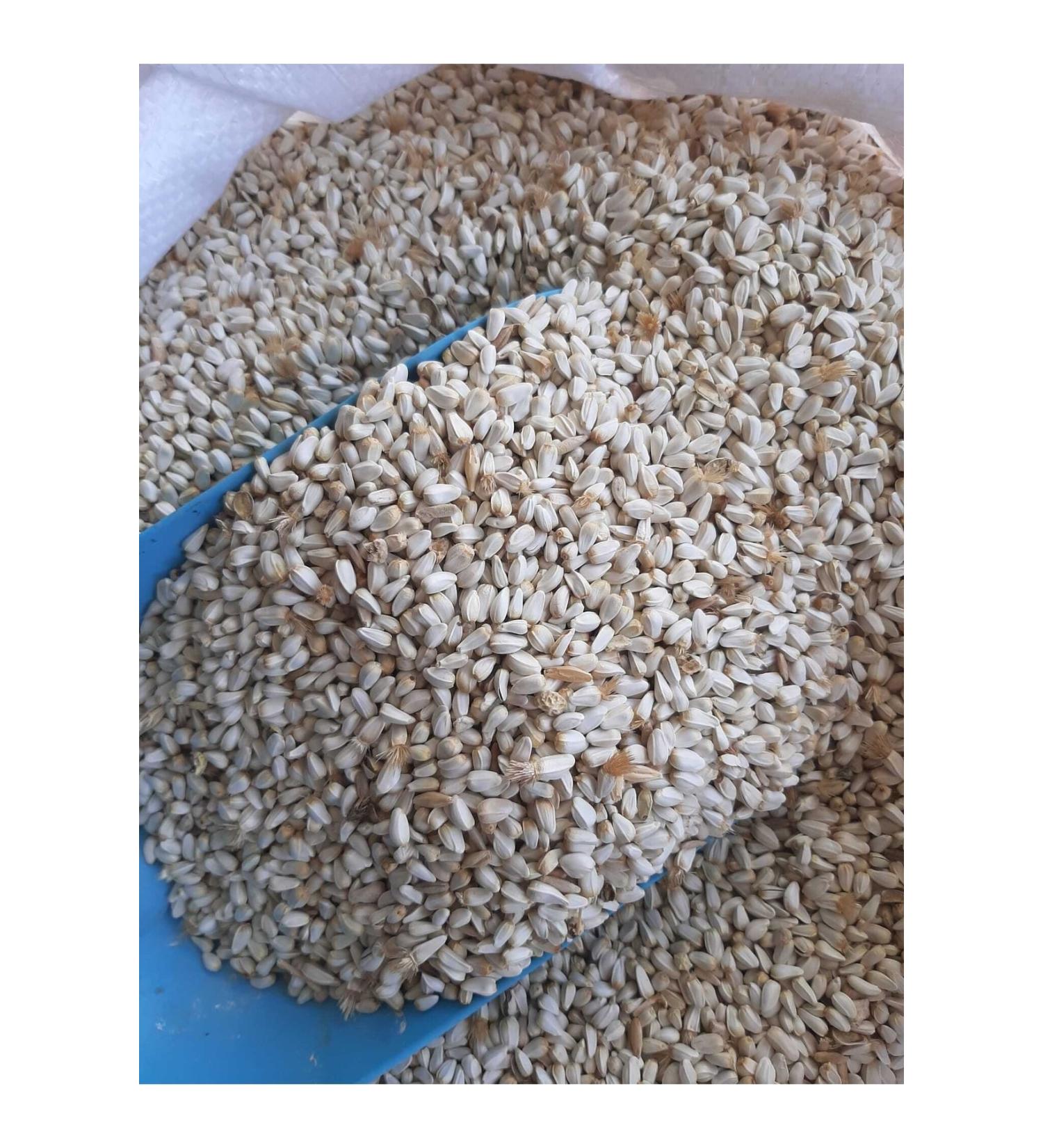 M&H Safflower Seed Pigeon Cockatiel Food (4 kg)