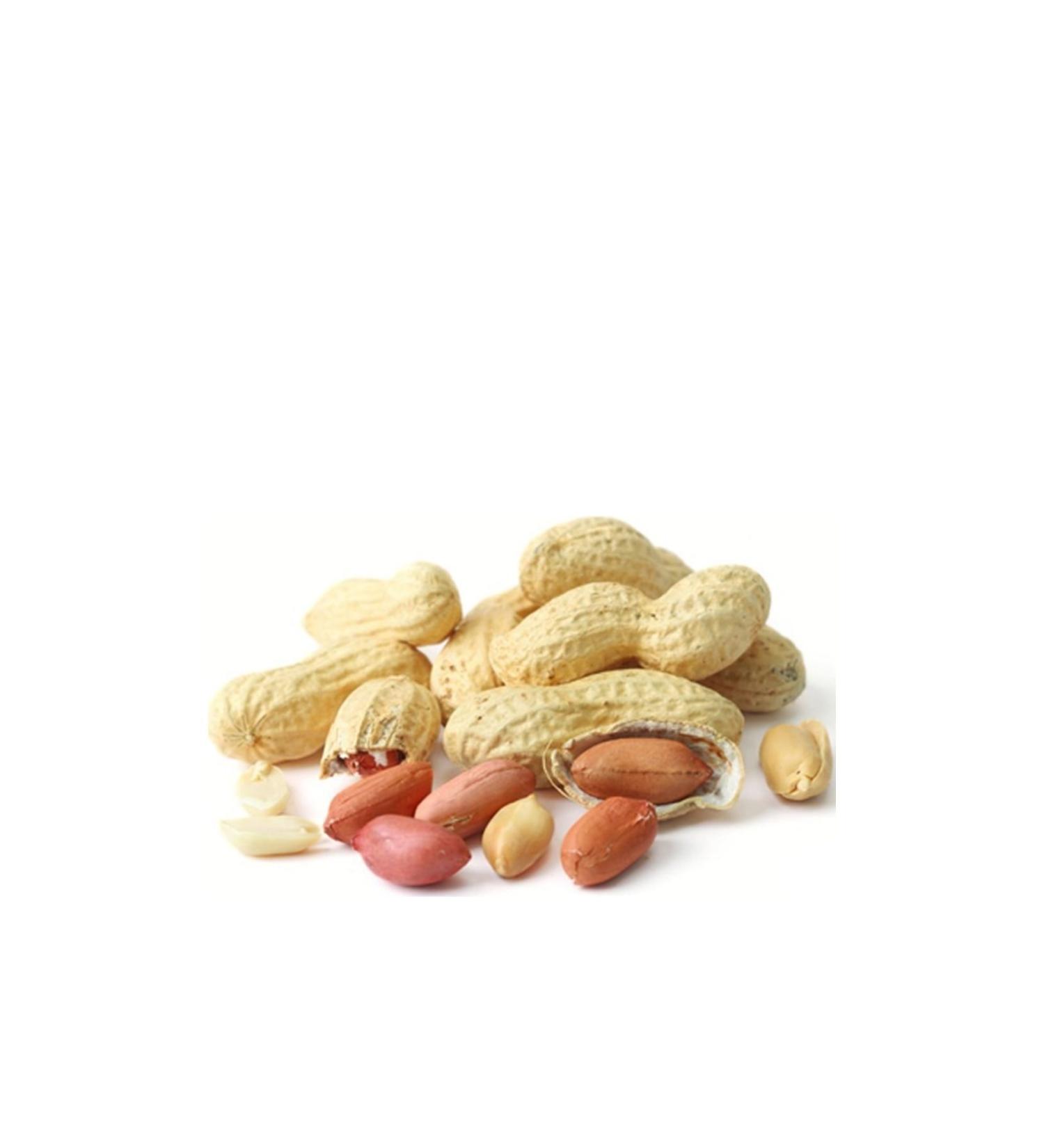 TO LU Shelled Pistachios 1 kg