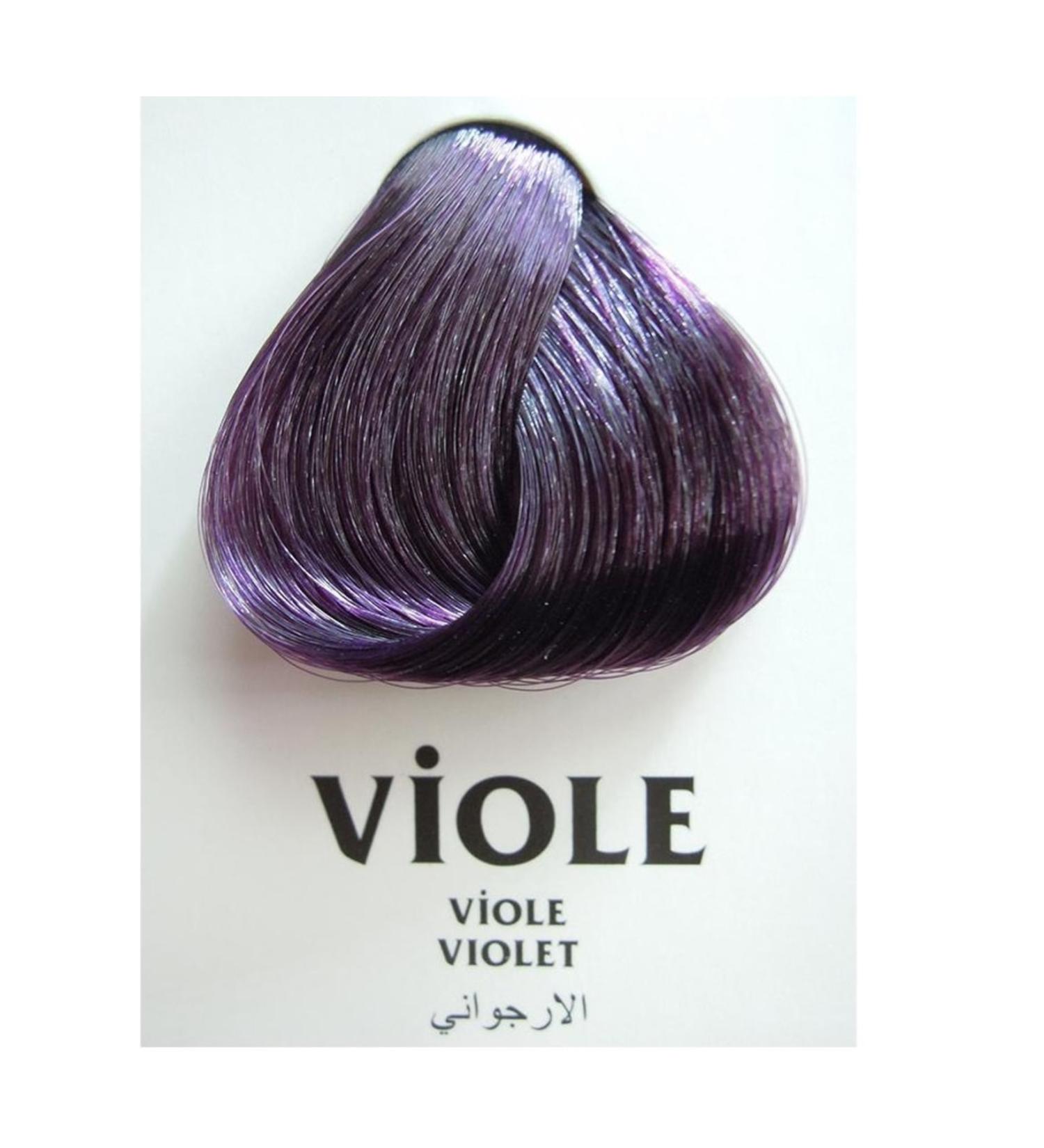 Clemency Farmavita Hair Dye Violet 60gr.