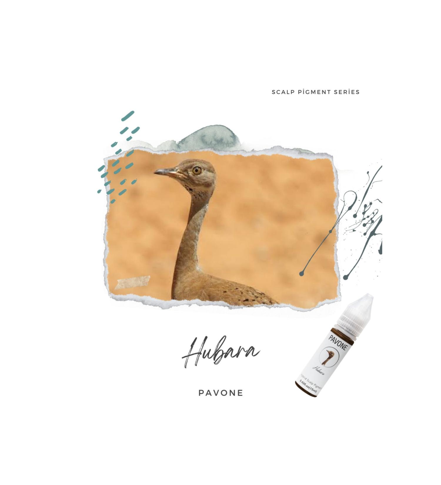 Pavone Hair Simulation Dye - Scalp Pigment - Hair Simulation Pigment - Buy Online on GoSupps.com