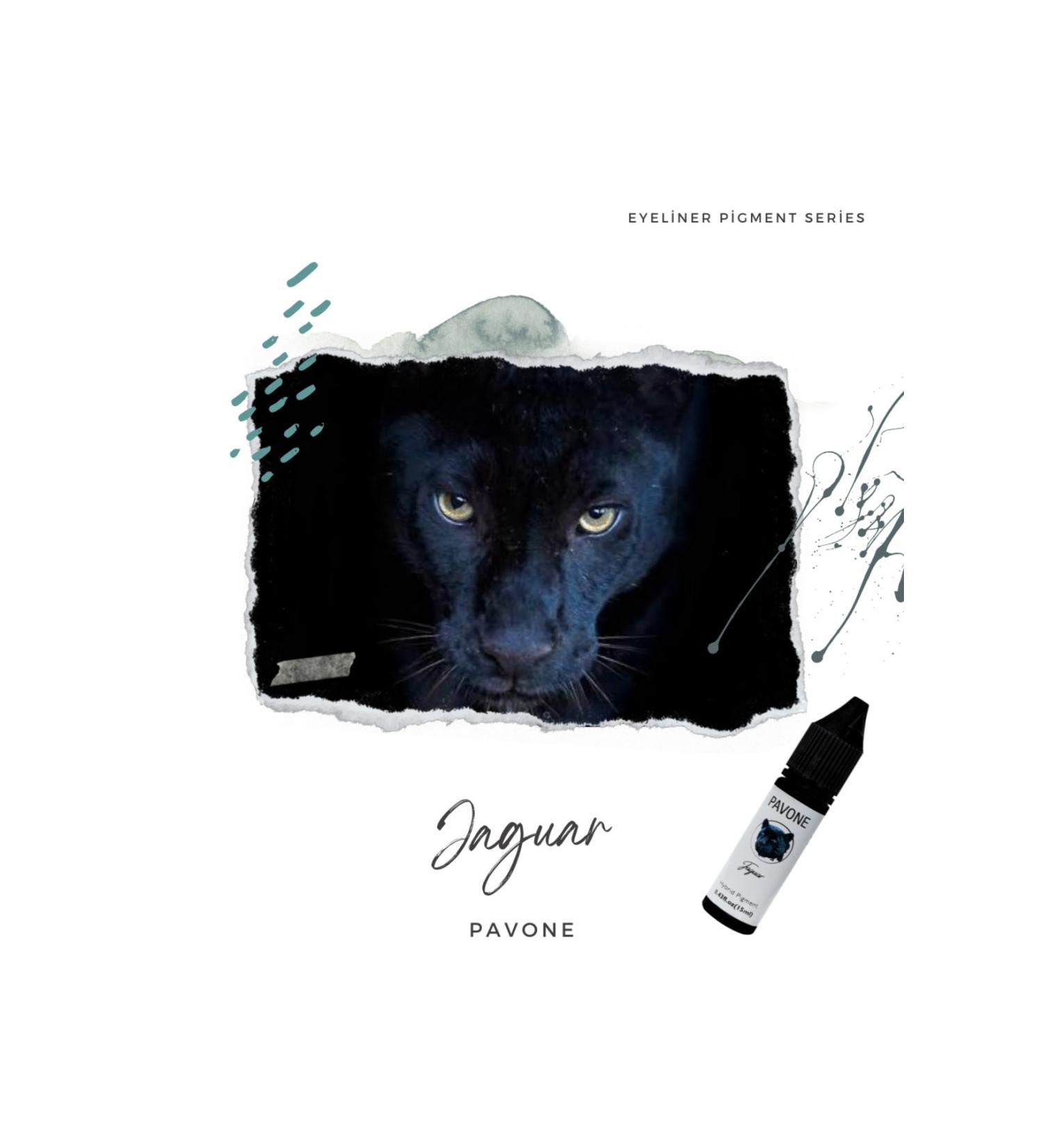 Pavone Eyeliner Pigment - Permanent Makeup Hybrid Eyeliner Paint - Buy Online on GoSupps.com