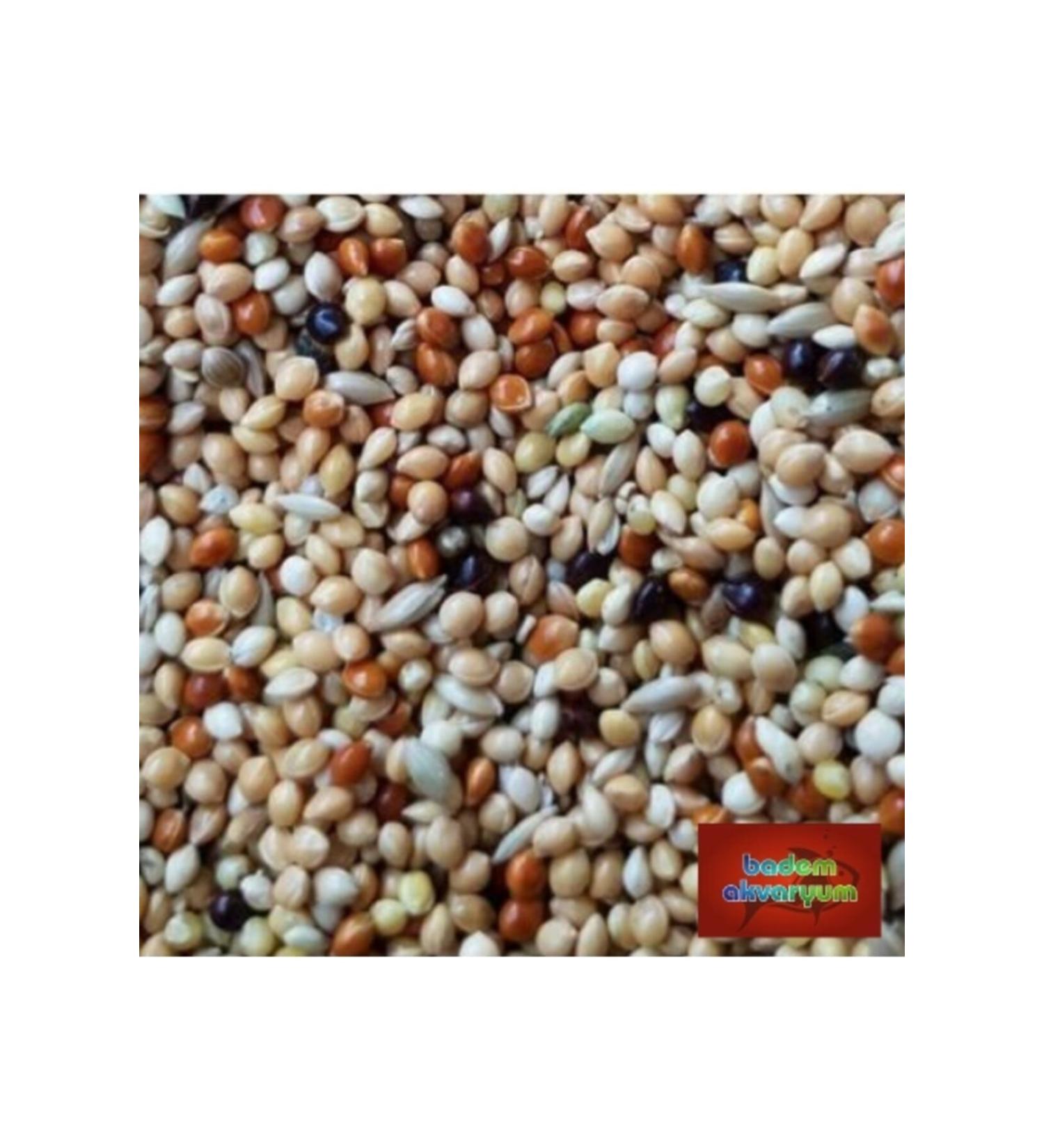 Almond Aquarium Premium Mixed Budgie Food 5 Kg Quality