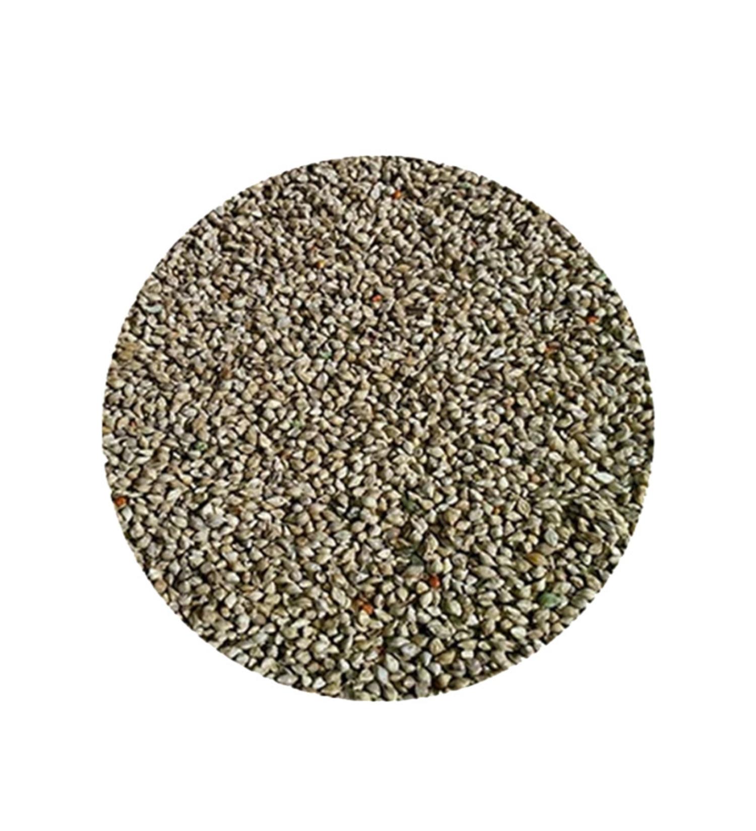 FLUFFY BIRD WORLD Japanese Millet 500 gr (SPECIAL VACUUM PACKAGING)