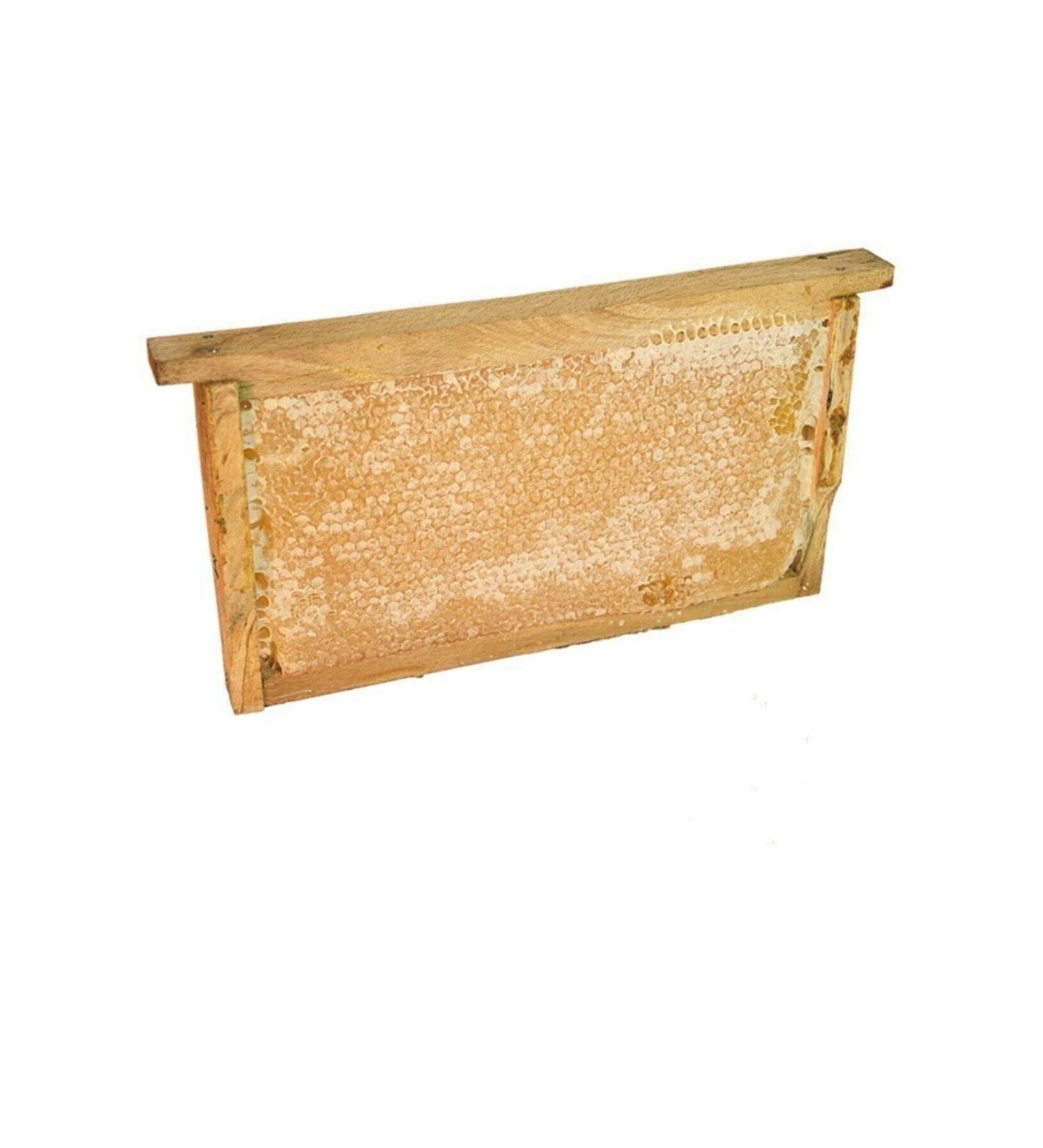 Acar S t M&a Karakovan Comb Honey 1 Kg