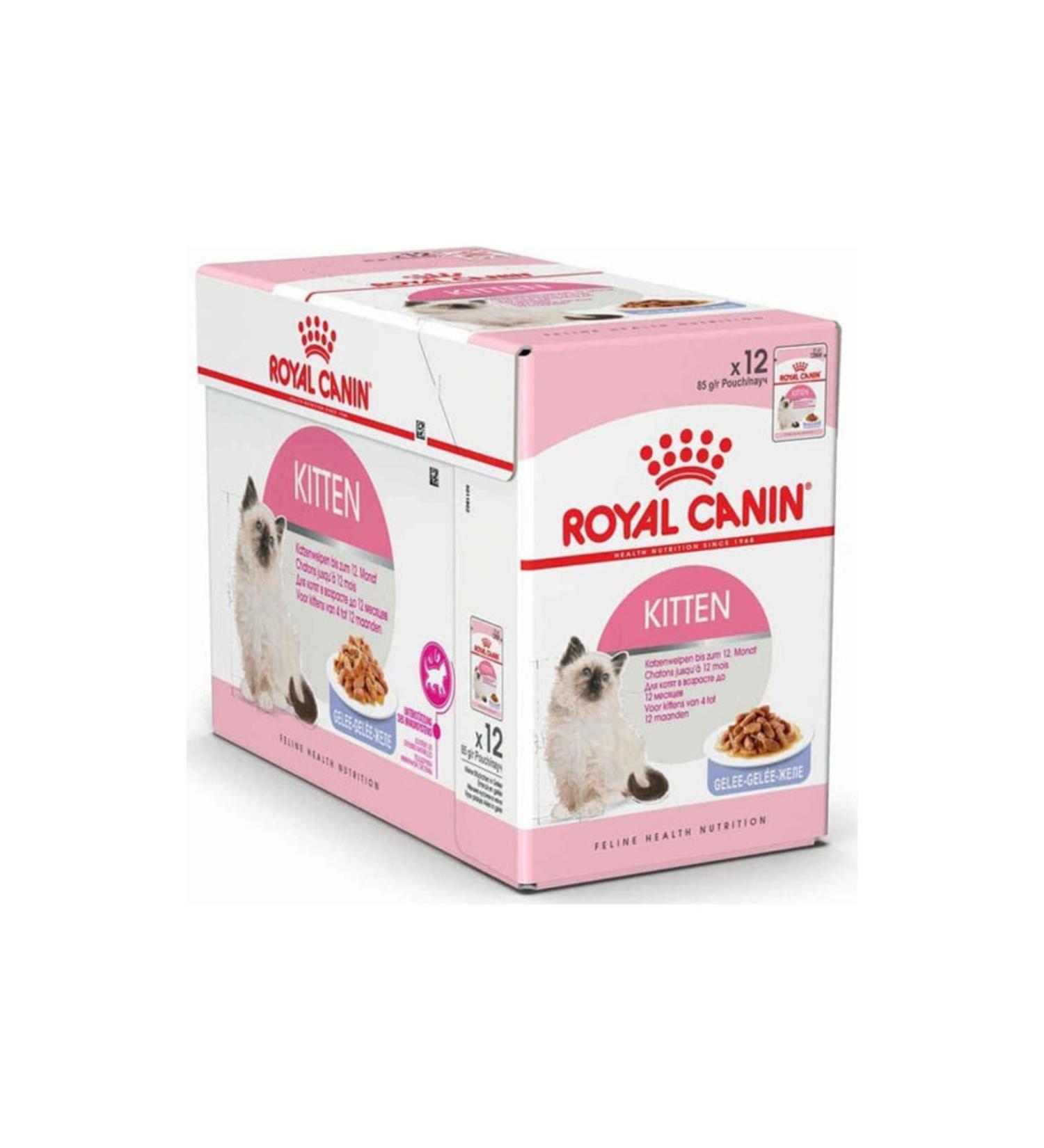 Royal Canin Jelly Kitten Canned Food for Young Cats 12 X 85 G