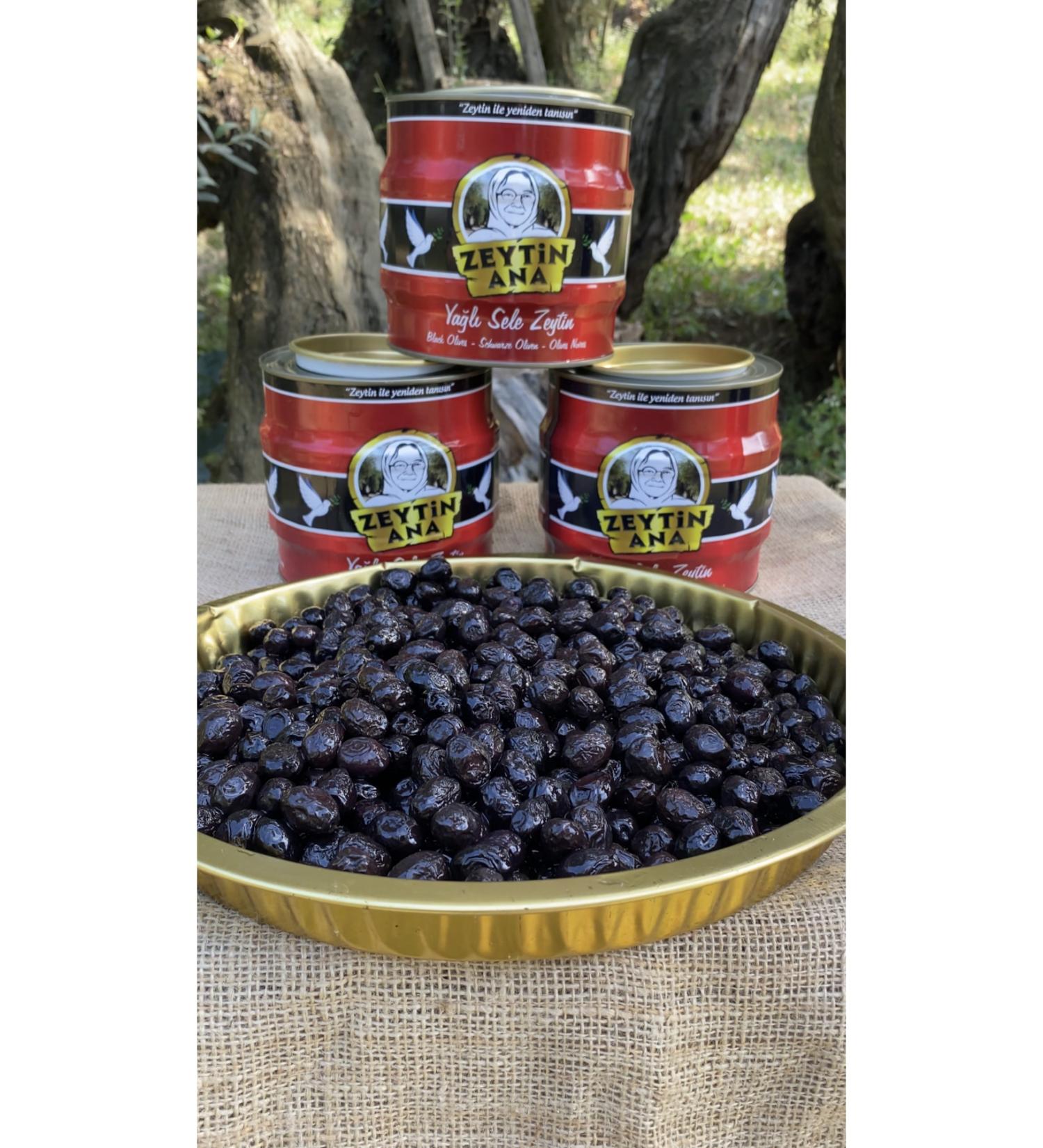 OLIVE MAIN Olives 3 Pieces 2 Kg Gemlik Olives (XL) - Buy Online on GoSupps.com