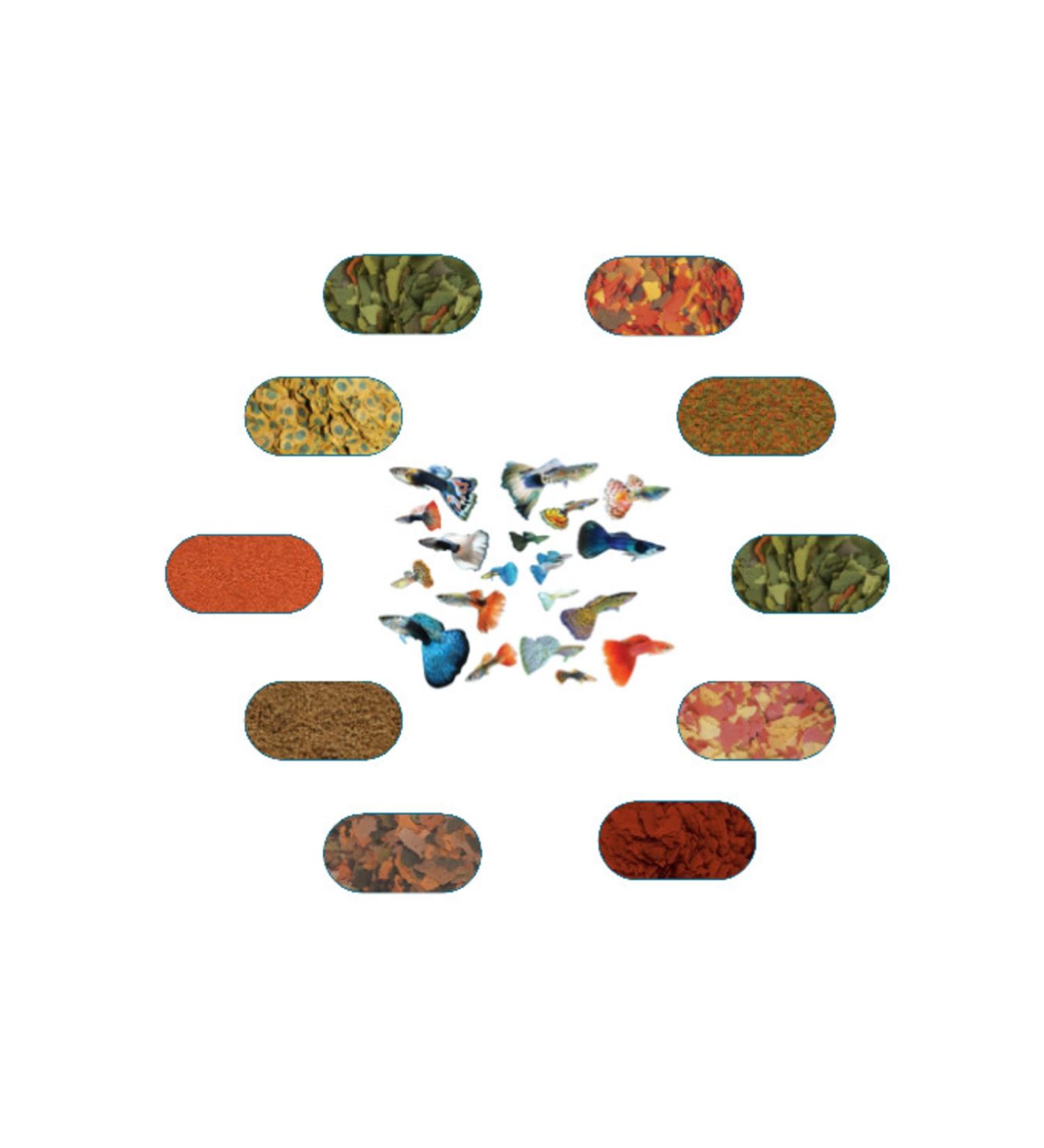 Guppy Special Fish Food Package 50 Gr/piece (7 Types)