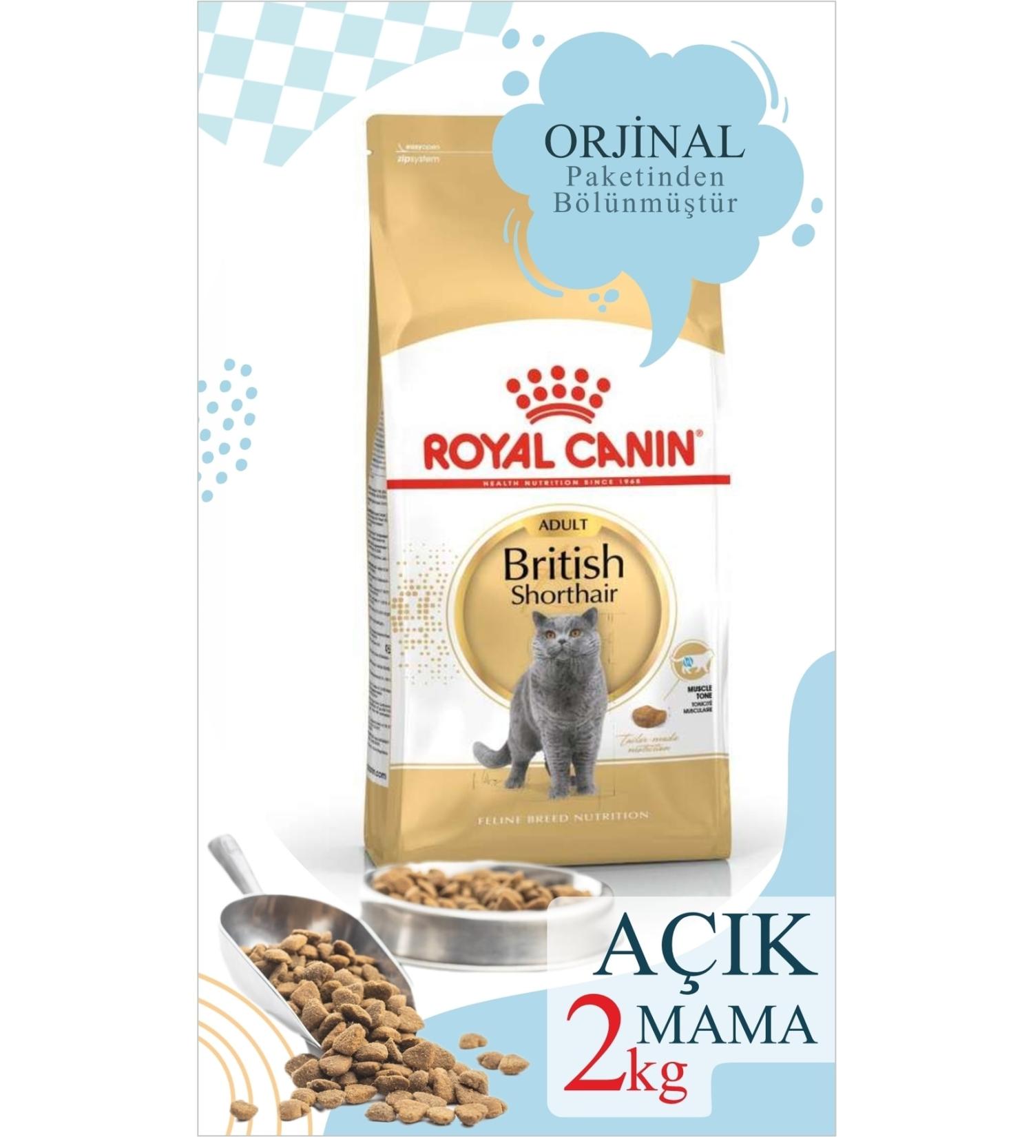 Royal Canin 2 Kg Vacuum British Shorthair Special Adult Cat Food