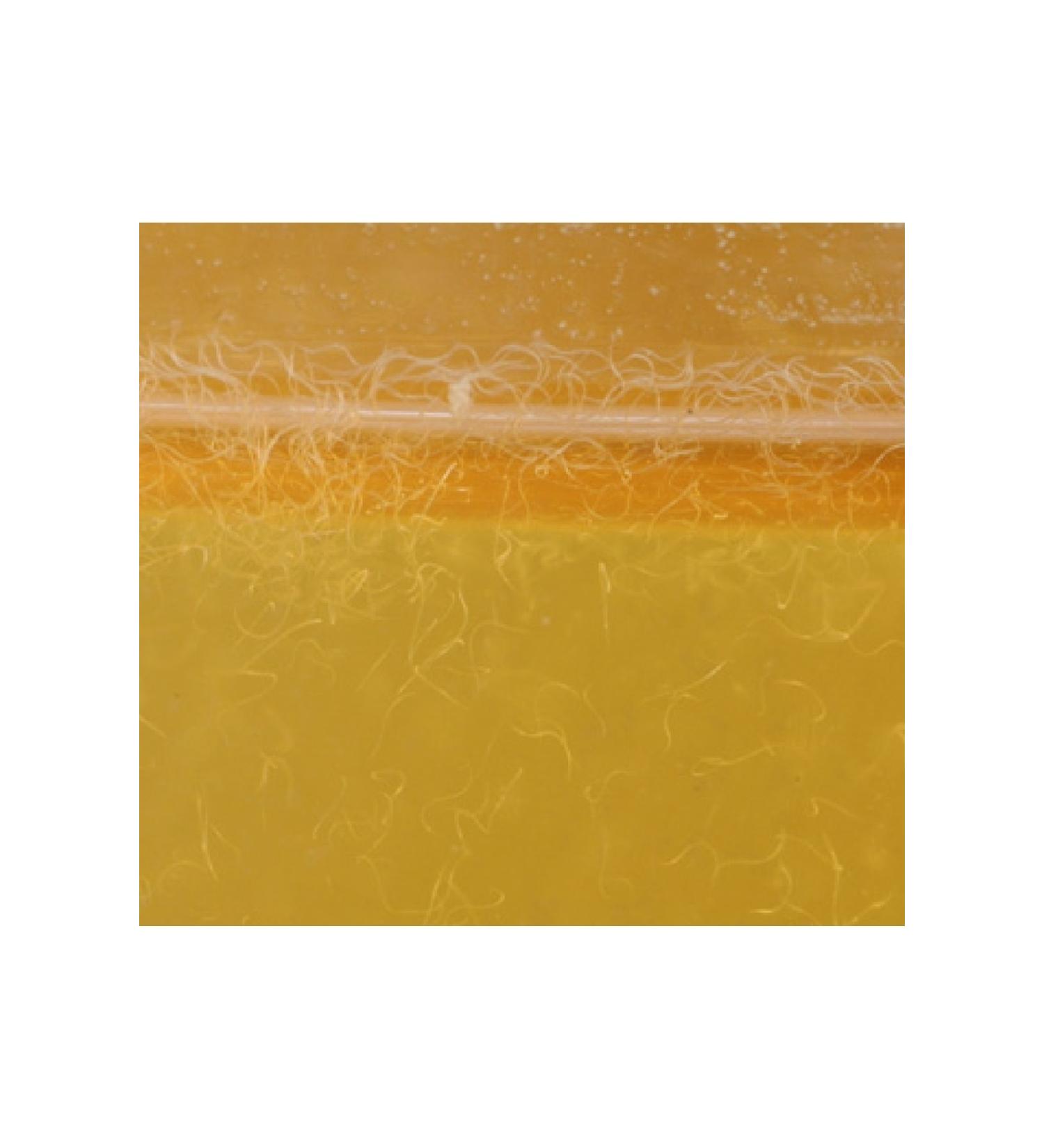 Vinegar Worm Culture Fish Food