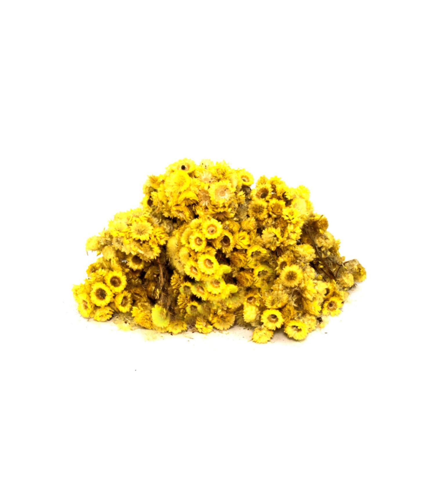Aktarzane Goldenrod (Goldenrod Yellow Flower Immortelle) 250 gr.