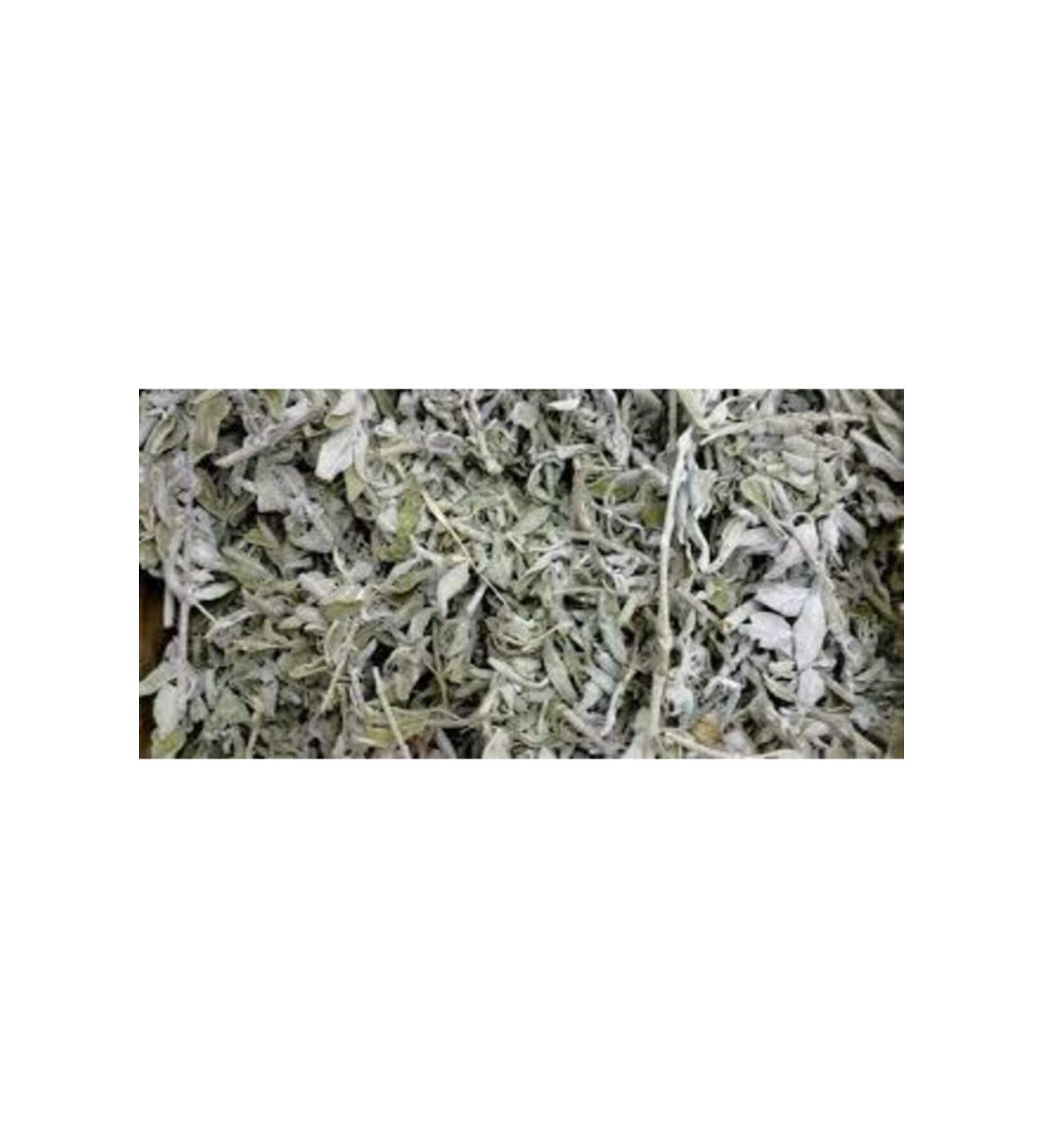 Nature Sage 1 Kg Aegean Sage New Crop