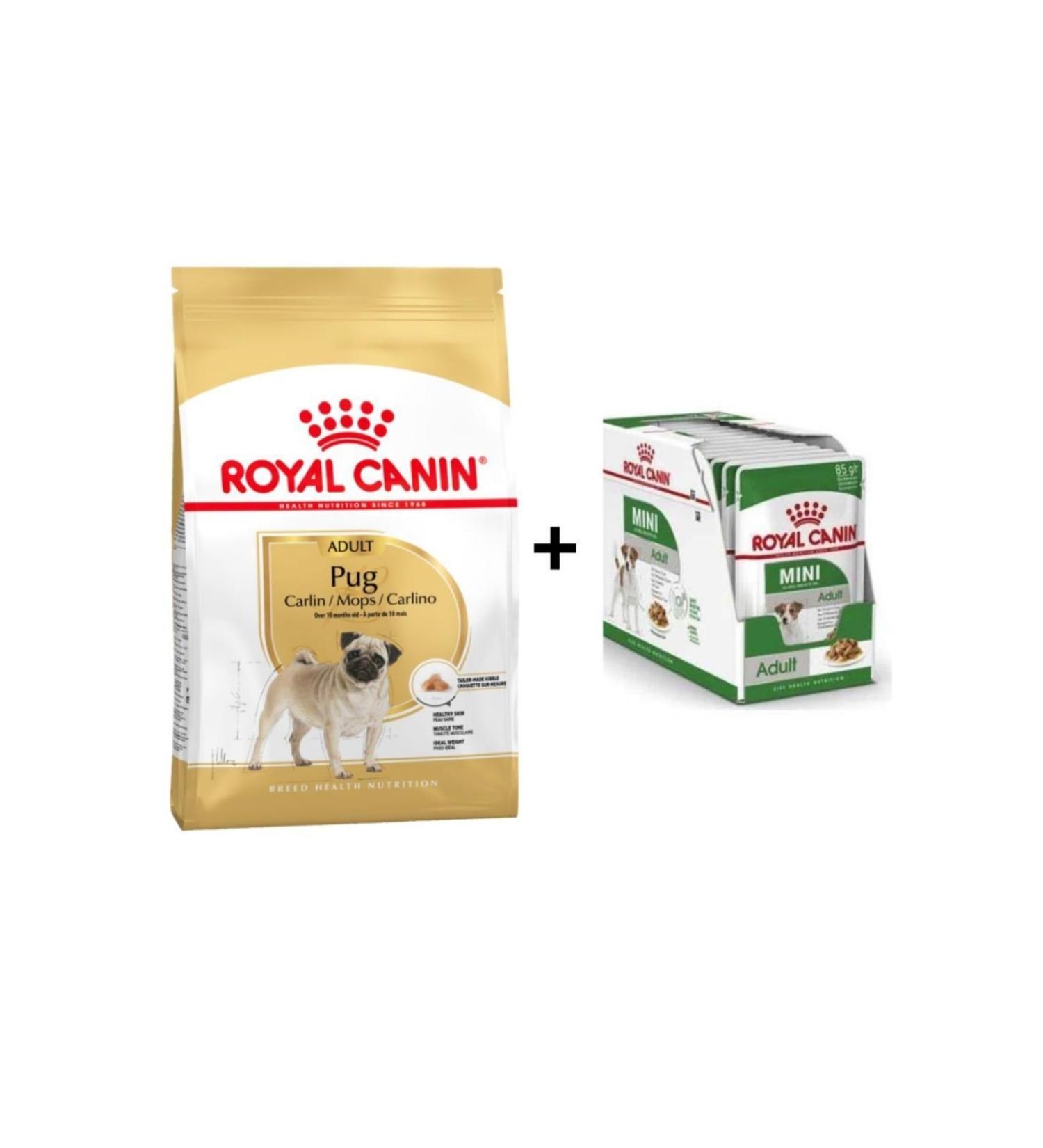 Royal Canin Pug Breed Special Dog Food 1.5 Kg + 12 Pieces Wet Food