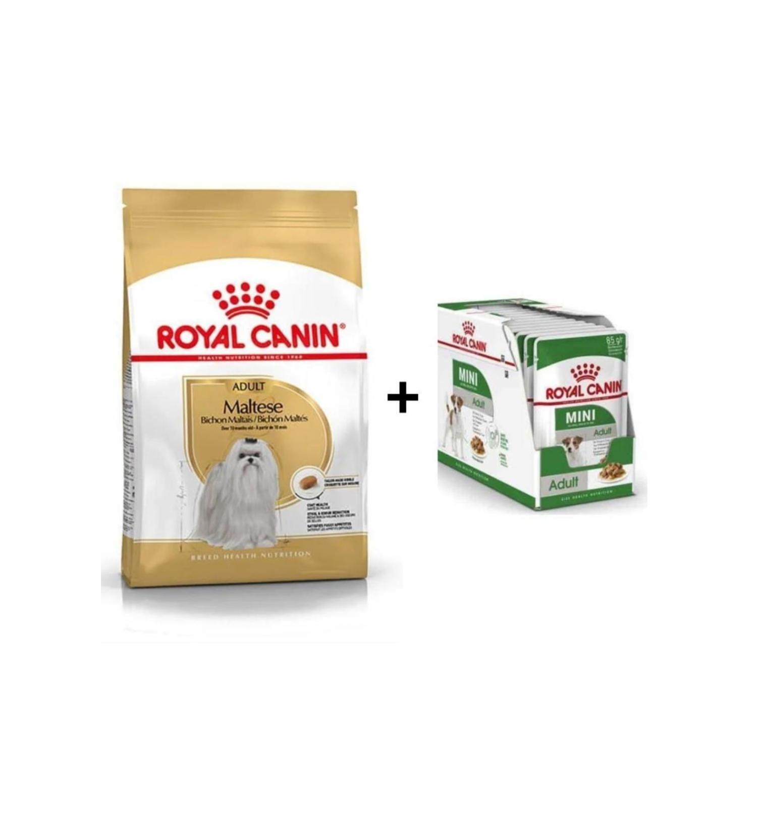 Royal Canin Maltese Bichon Adult Dog Food 1.5 Kg + 12 Pieces Wet Food