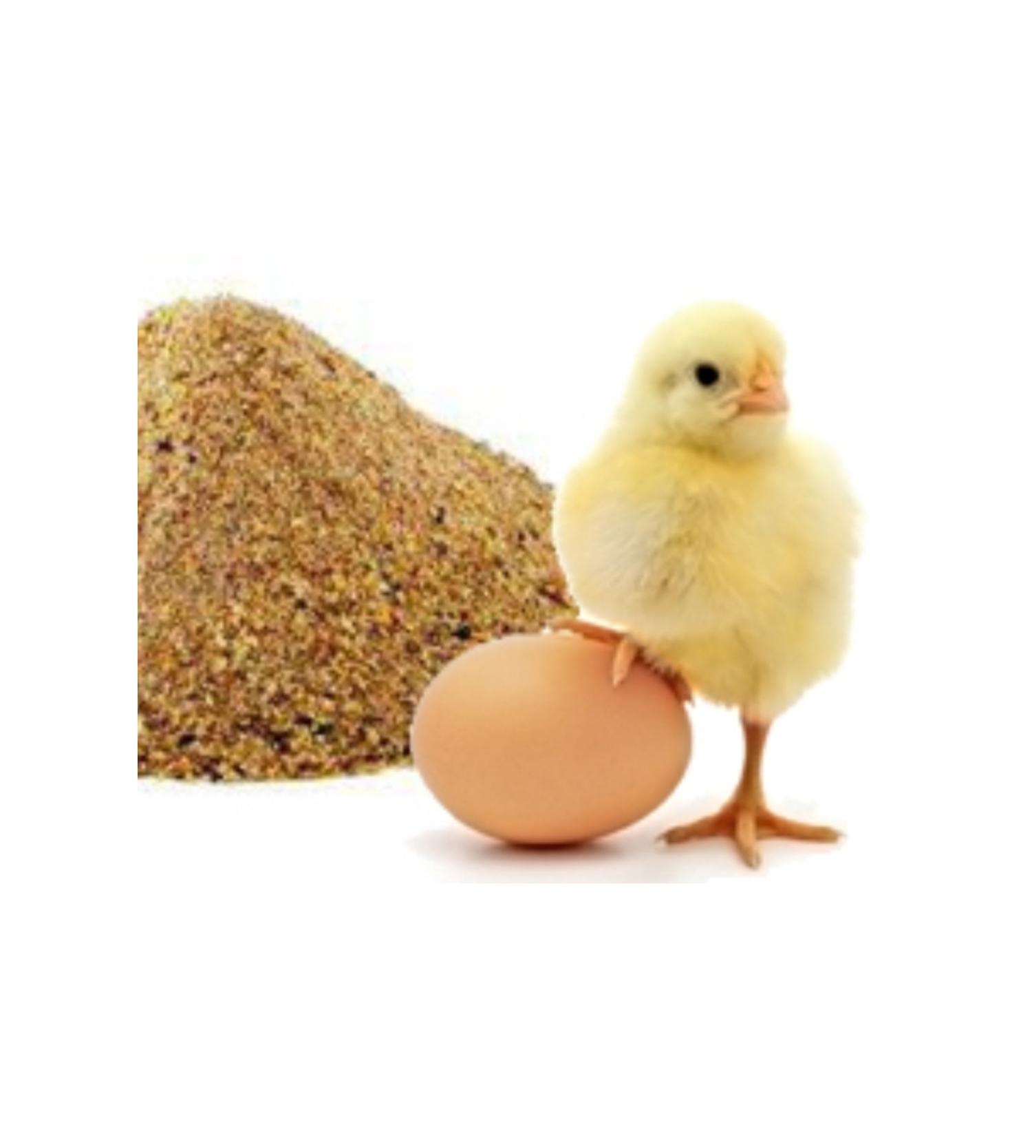 Our own Chick Food 5 Kg