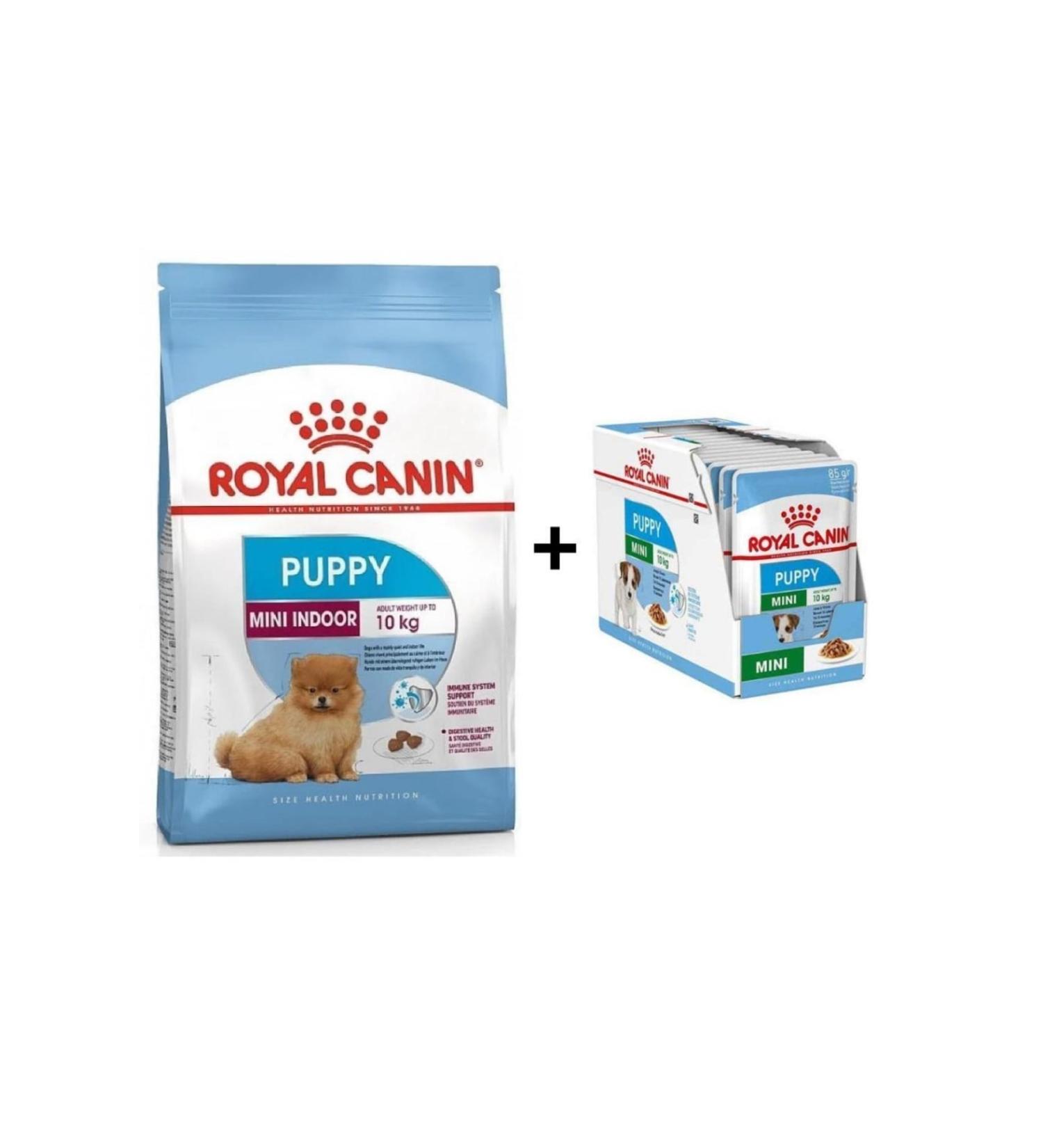 Royal Canin Mini Indoor Puppy Dog Food 1.5 Kg + 12 Pieces Wet Food