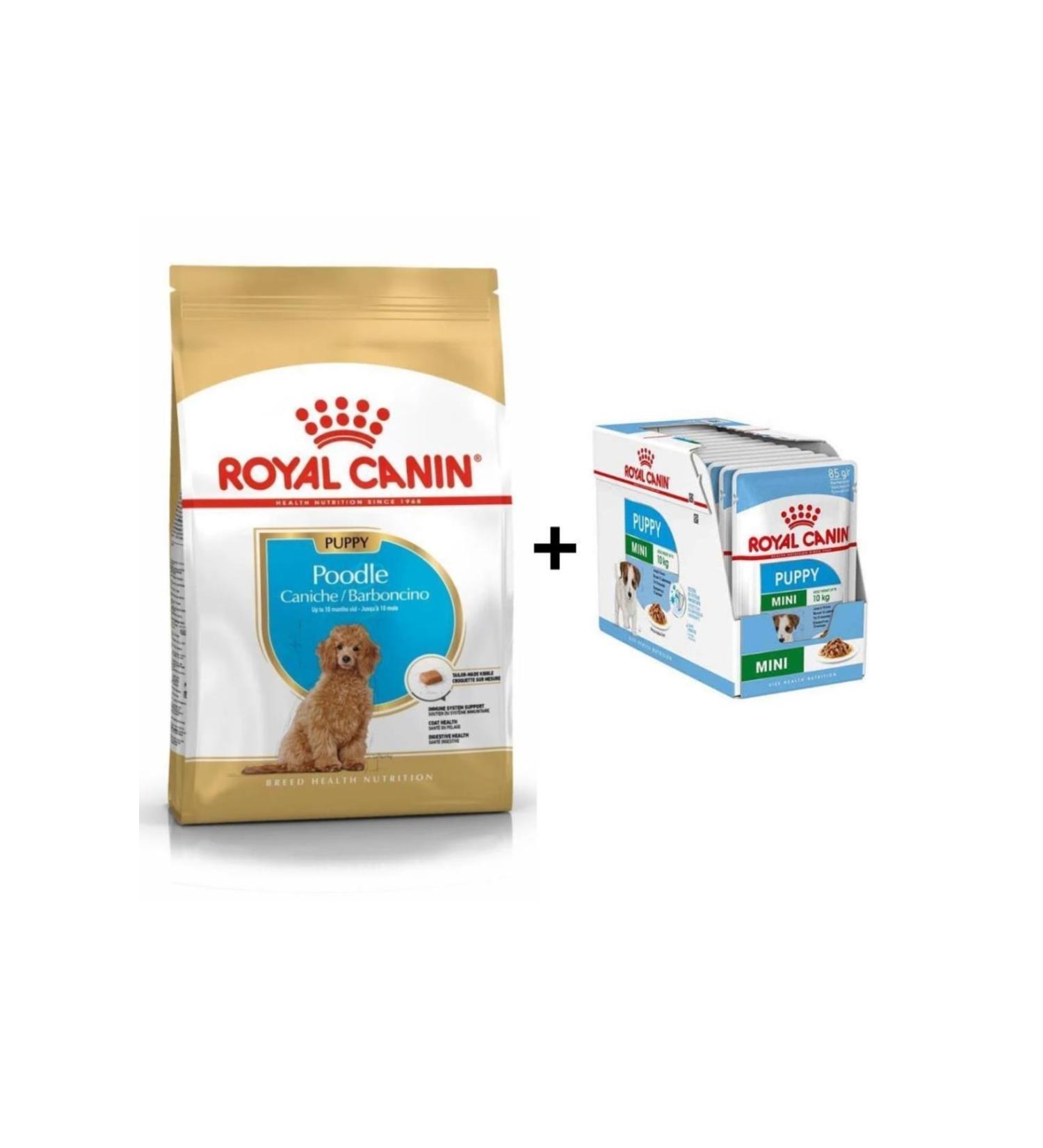 Royal Canin Poodle Puppy Dog Food 3 Kg + 12 Pieces Wet Food