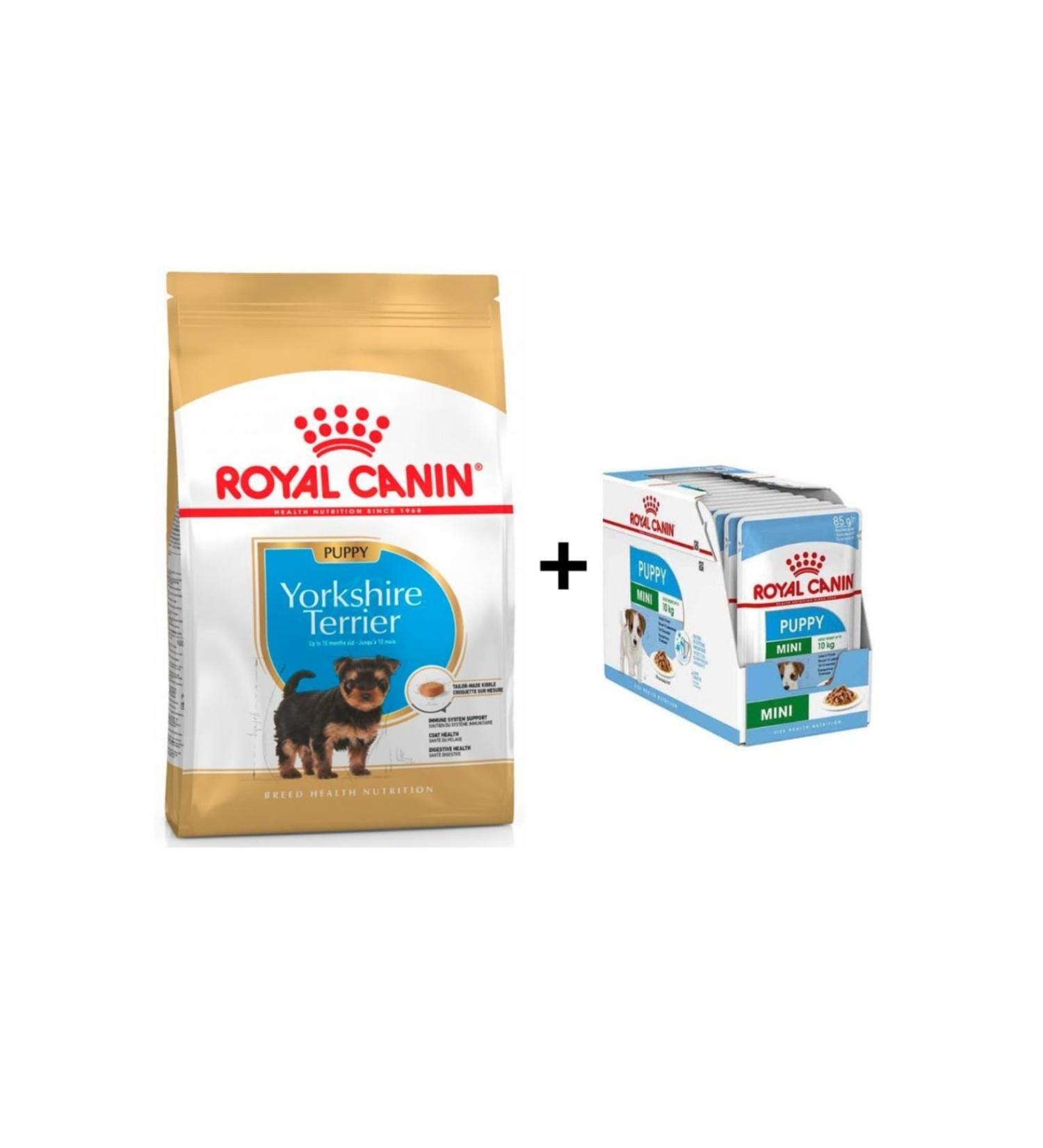 Royal Canin Yorkshire Terrier Puppy Food 1.5 Kg + 12 Pieces Wet Food