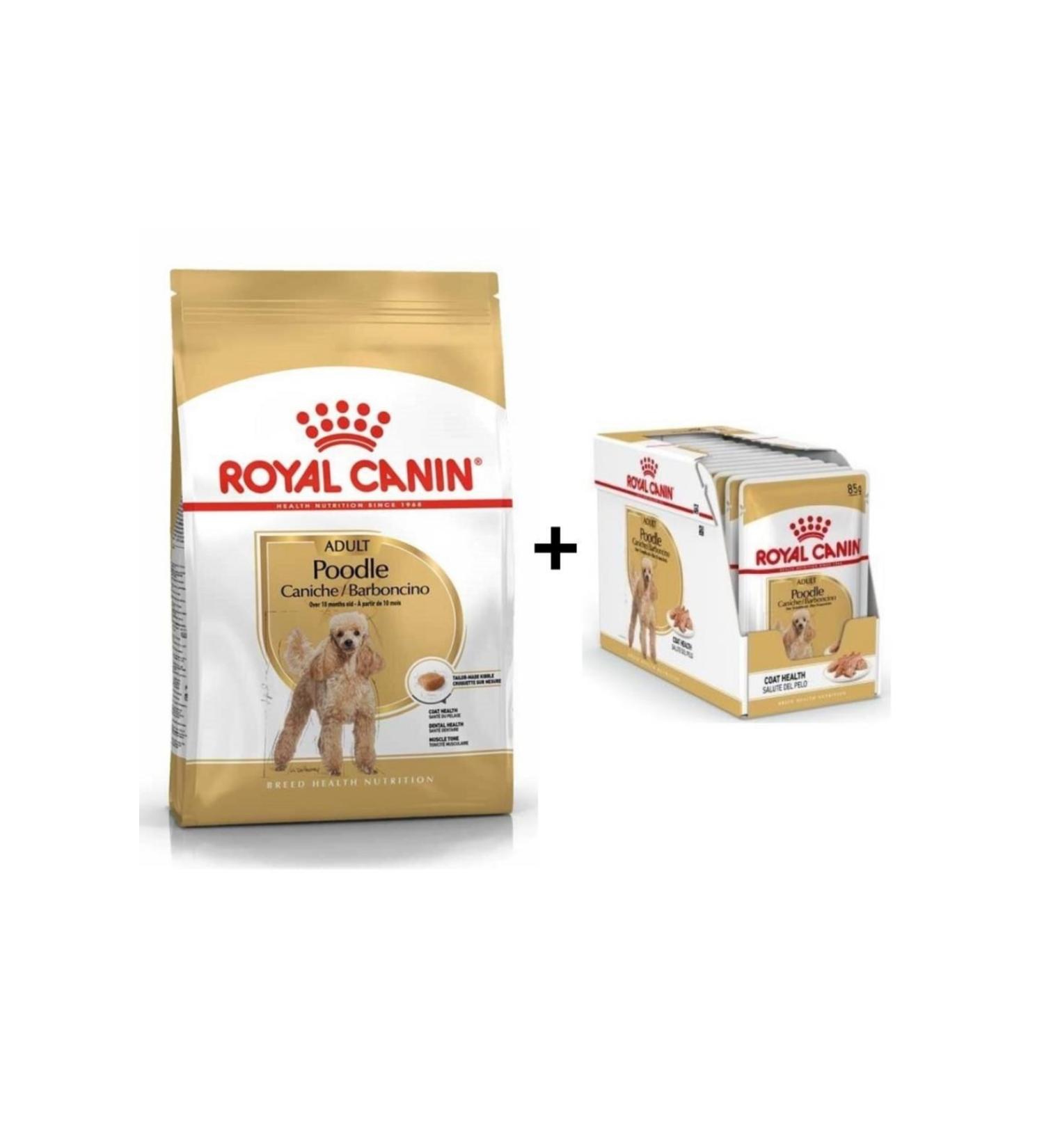 Royal Canin Poodle Adult Dog Food 3 Kg + 12 Pieces Wet Food