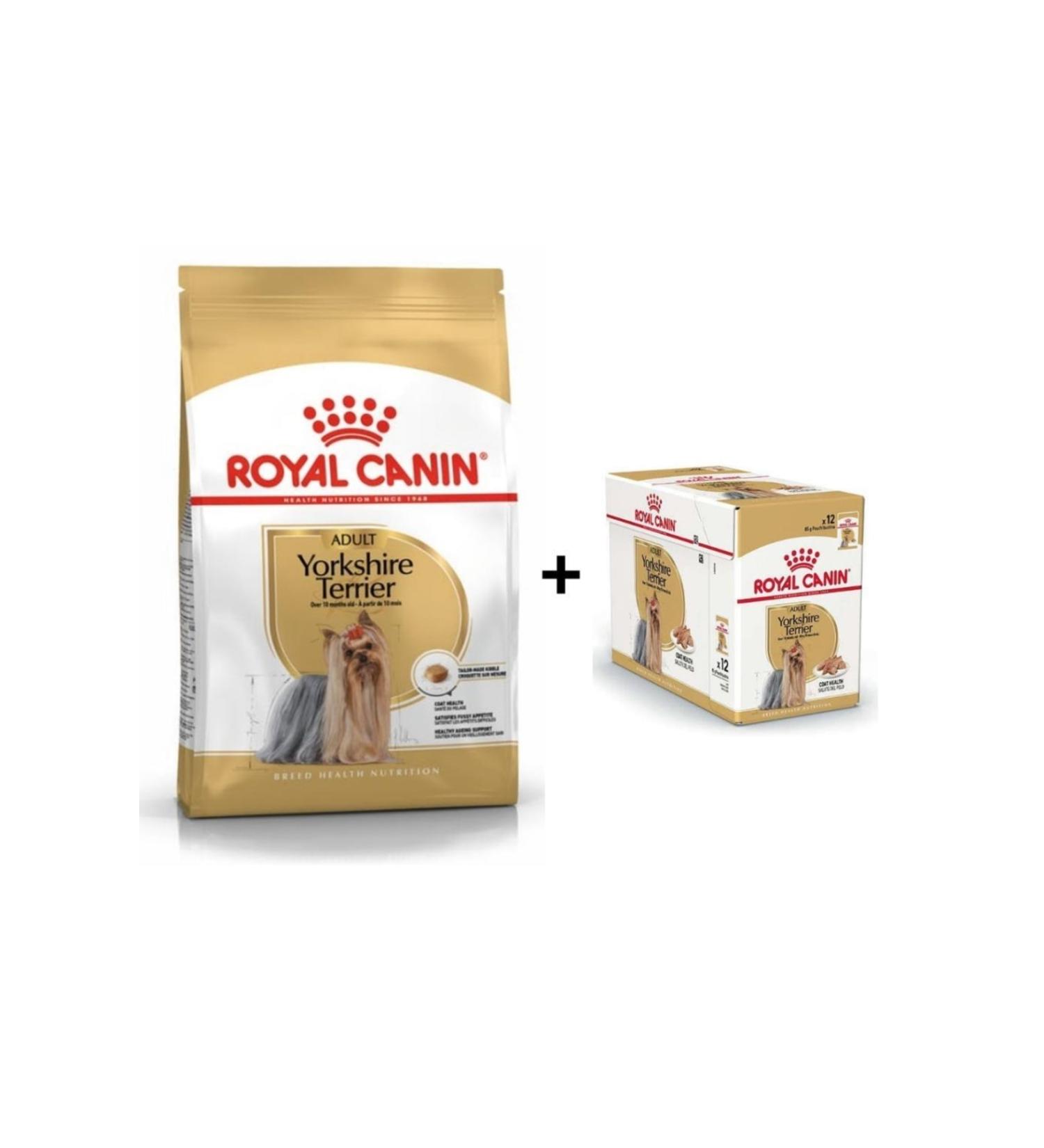 Royal Canin Yorkshire Terrier Dog Food 1.5 Kg + 12 Pieces Wet Food