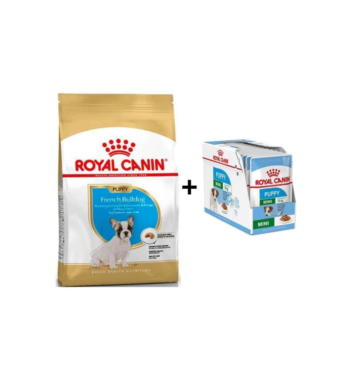 Royal Canin French Bulldog Puppy Food 3 Kg + 12 Pieces Wet Food