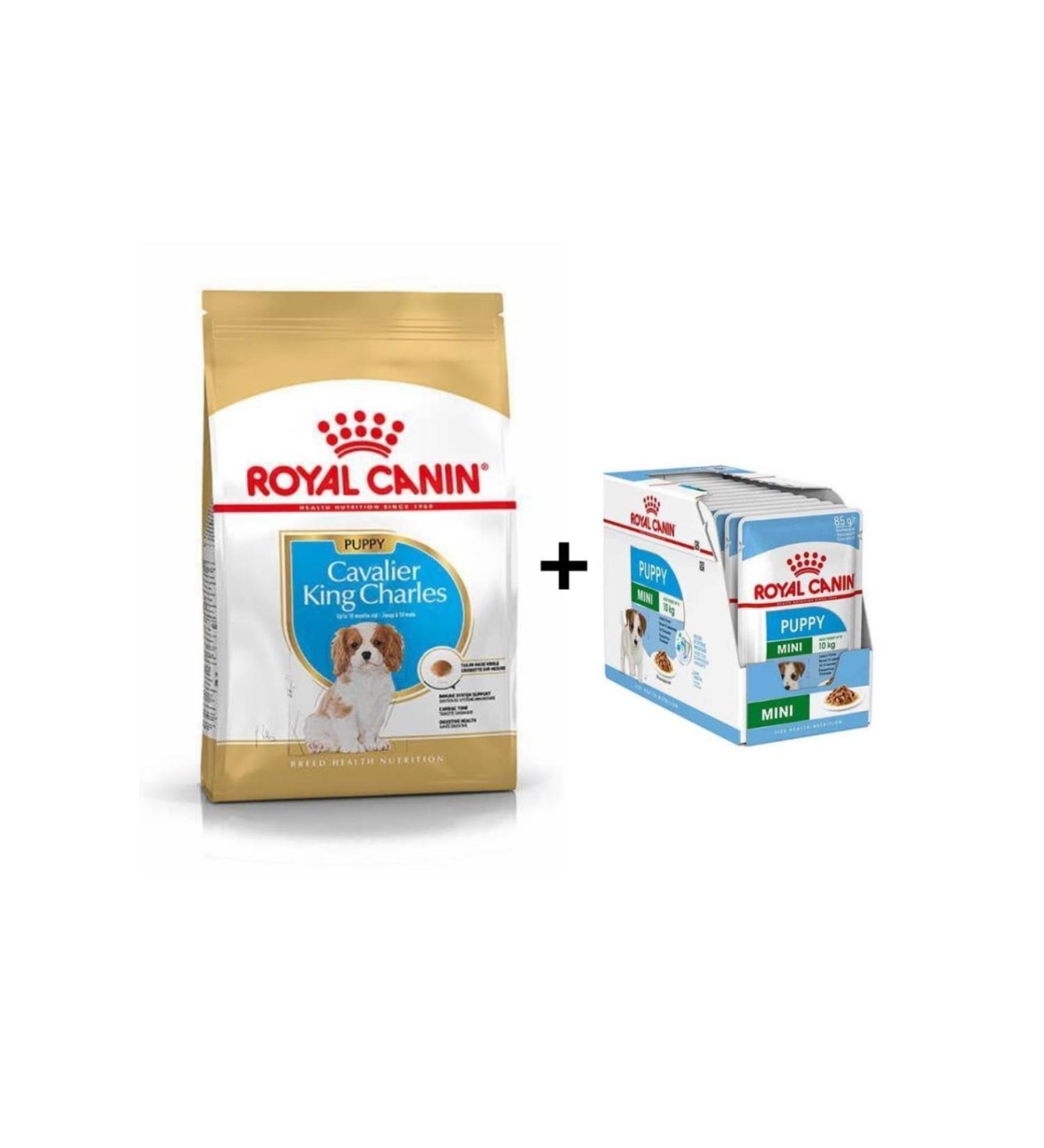 Royal Canin Cavalier King Charles Puppy Food 1.5 Kg + 12 Pieces Wet Food