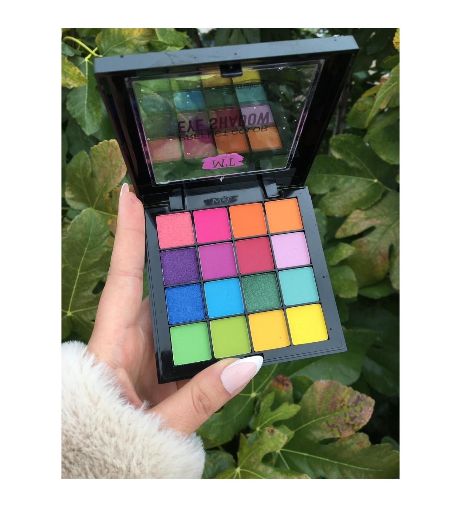 Meyras Touch New Season 16 Neon Eyeshadow Palette