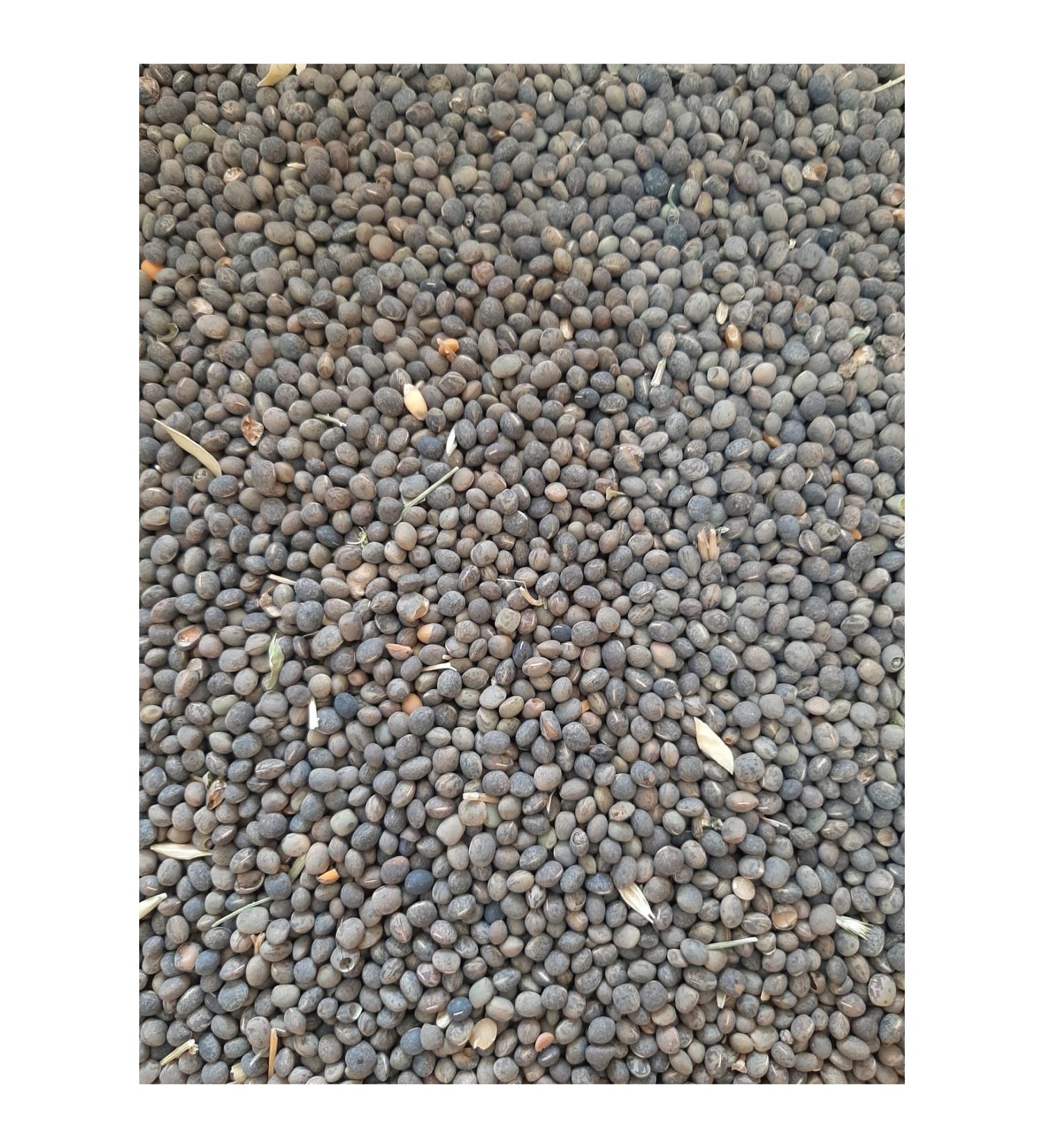 M&H Vetch Pigeon Food (3 Kg)