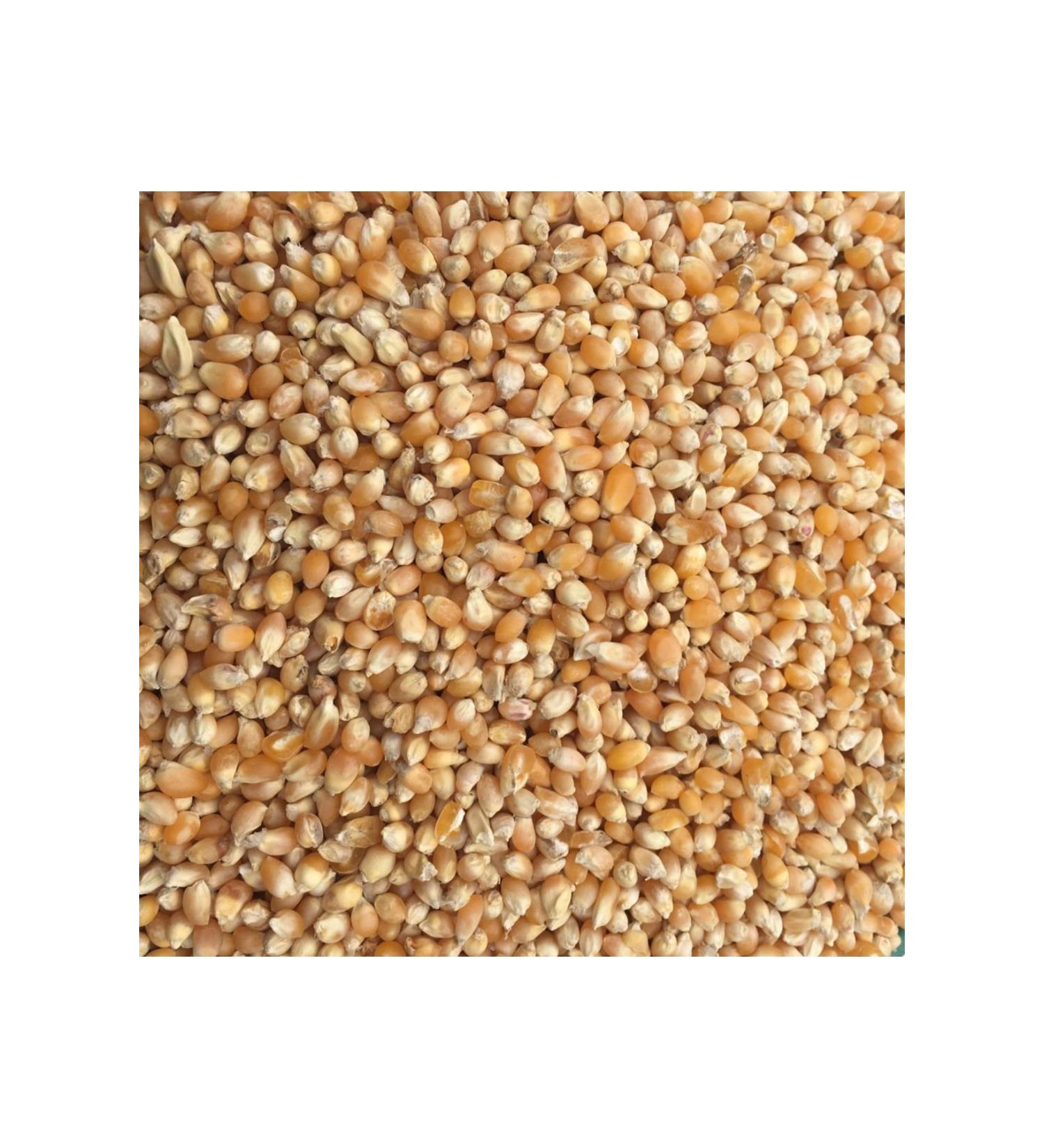 Yemci Cin Corn Feeder Chicken Duck Pigeon 1 Kg