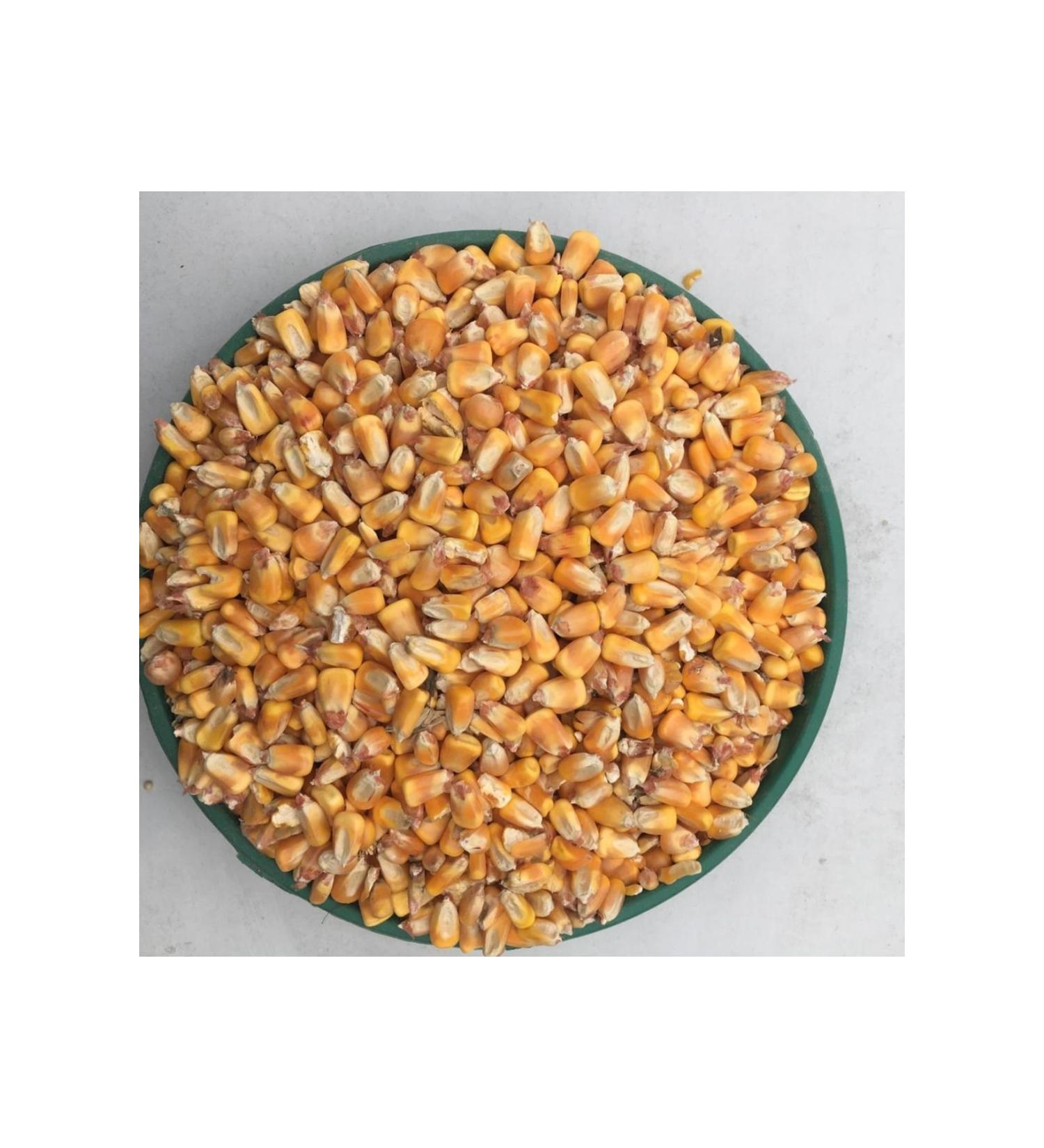 Yemci Corn Feed 3 Kg