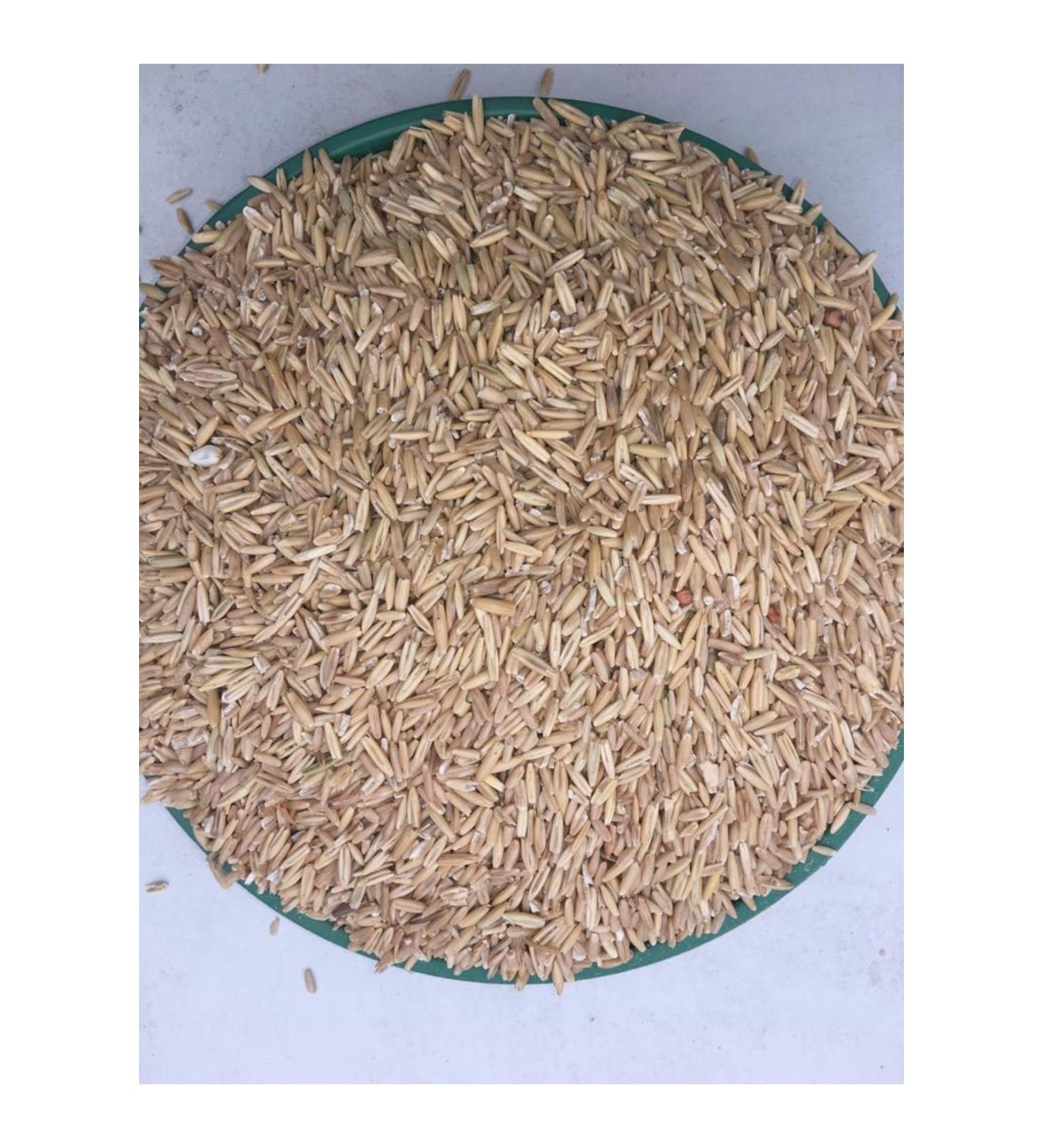 Canary Bird Food Peeled Oatmeal 10 Kg