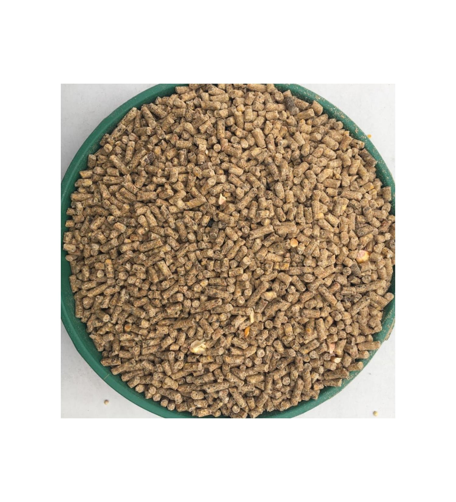 CP Chicken Poultry Egg Feed Granule 5 Kg - Buy Online on GoSupps.com