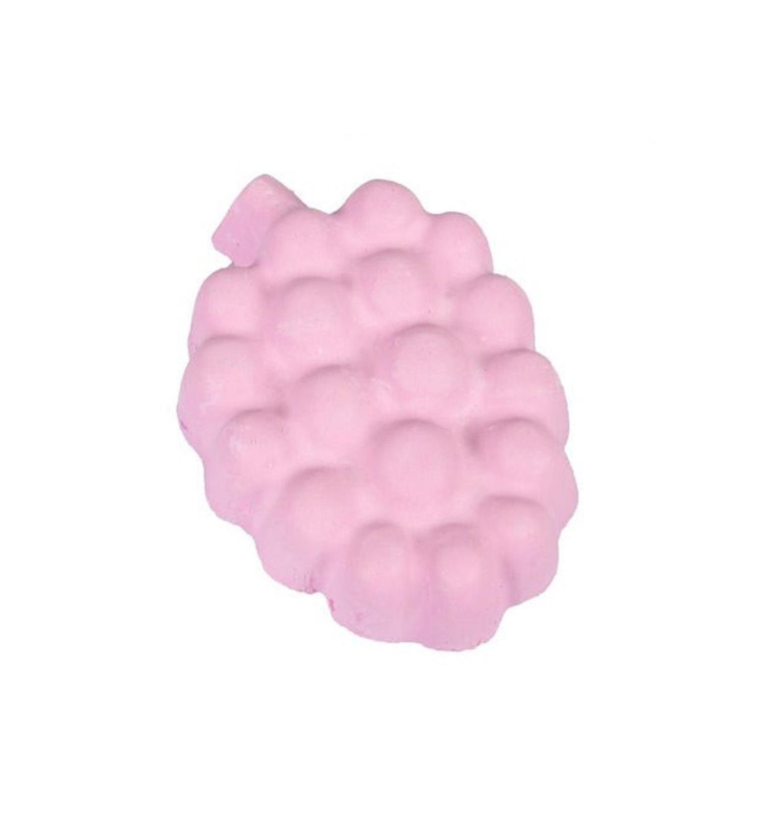 Karlie Gnawing Stone Raspberry 60gr
