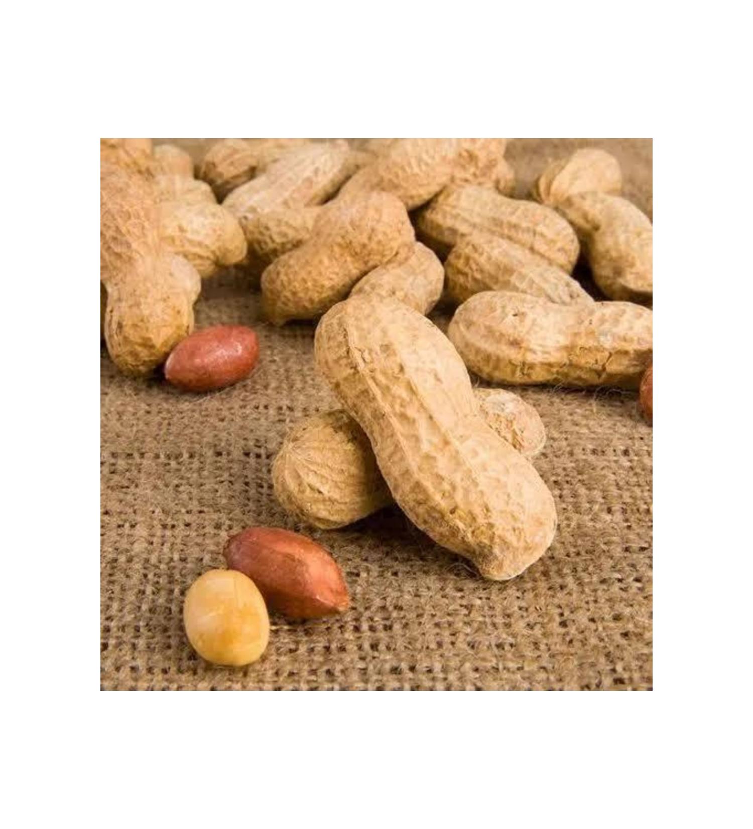 SNACKS Unsalted Roasted Peanut in Shell 500gr