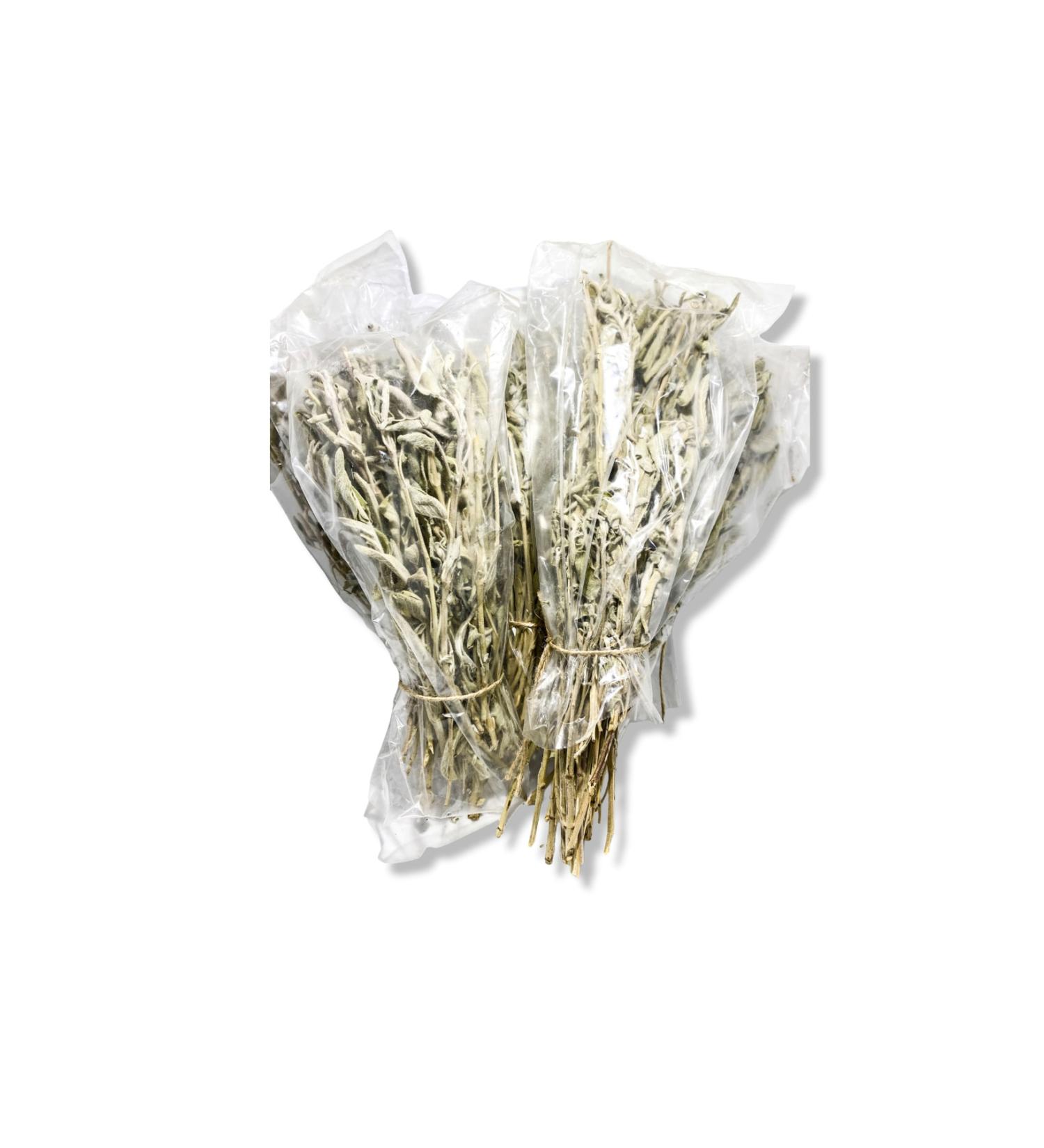 GURUYEM BOX 5 Pack Sage Tea 50-60gr 5 Bunches Sage Herbal Tea