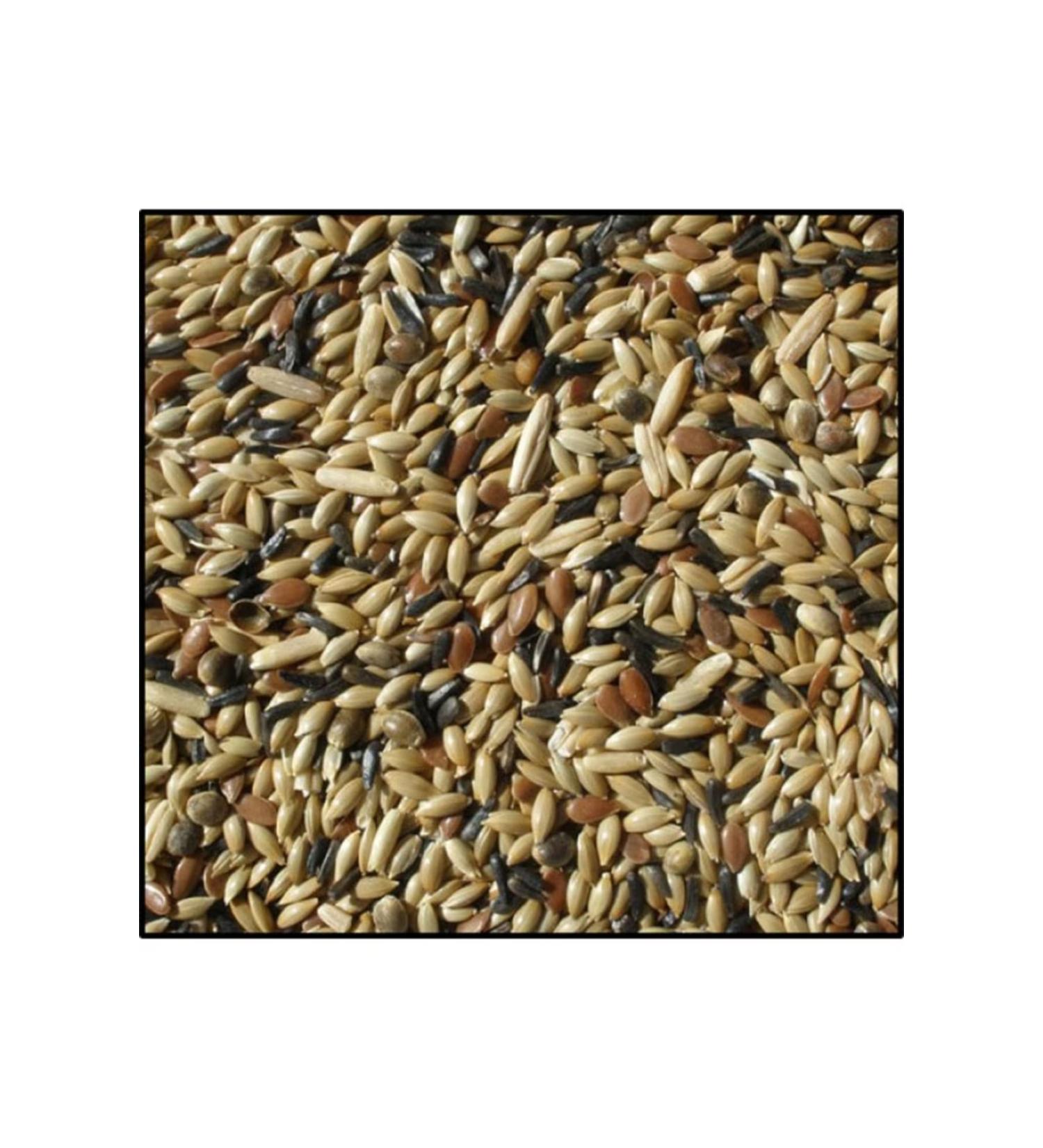 katzoo Canary Food Mixed (3kg Light)