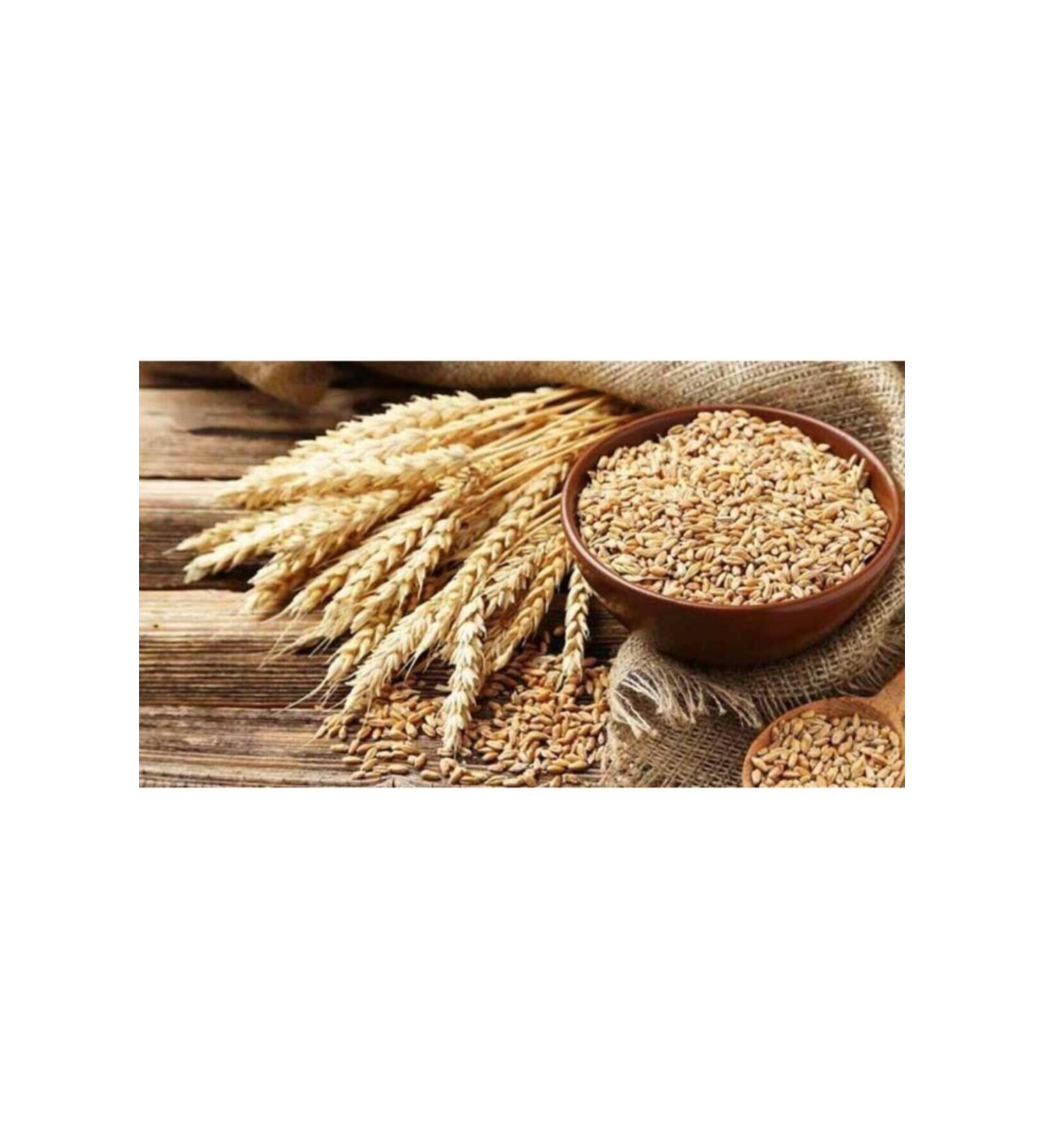 Asenya Natural Wheat 5 Kg Feed Wheat