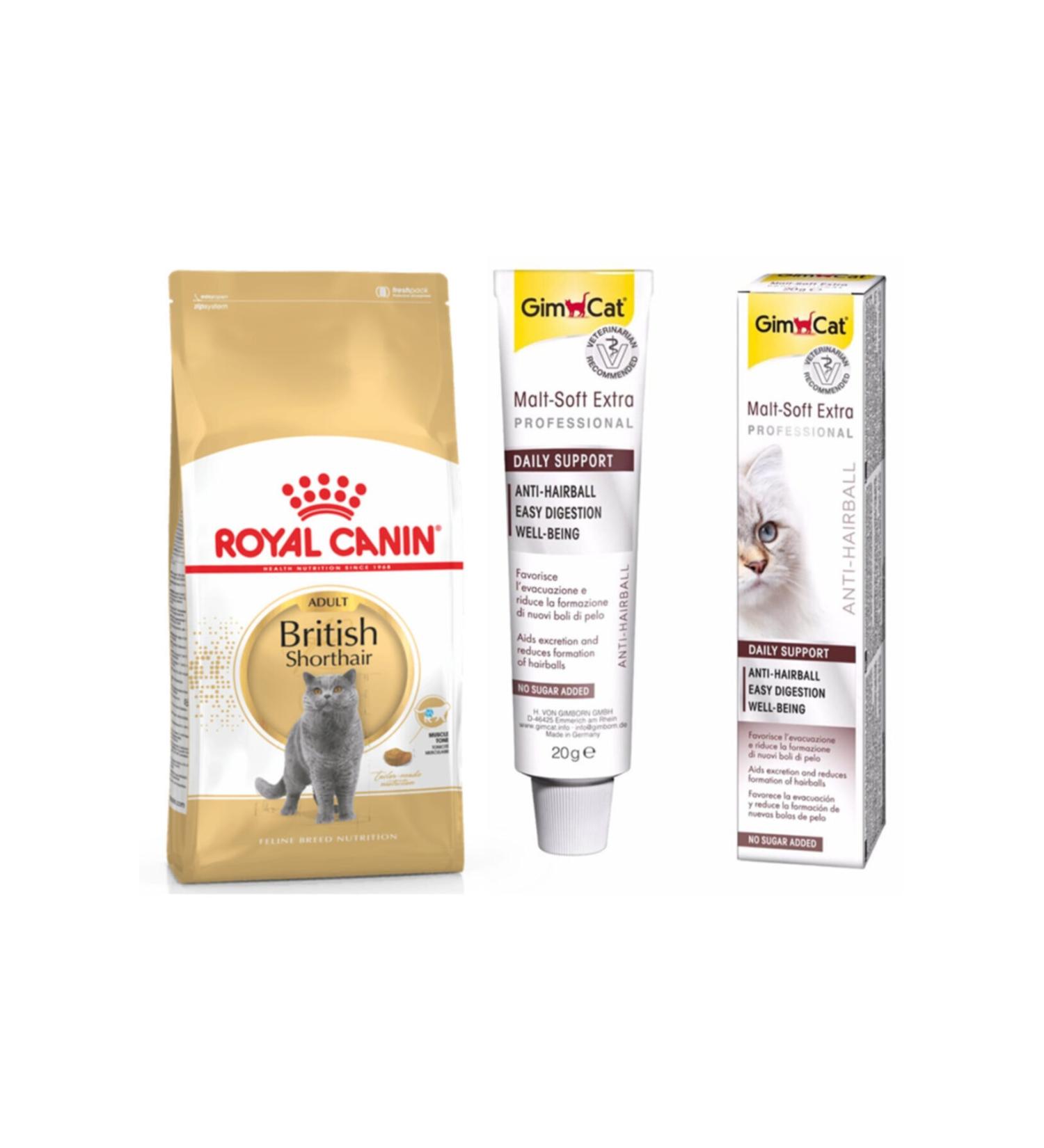 Royal Canin Adult British Shorthair Cat Food 4 Kg + Gimcat Cat Malt 20 Gr