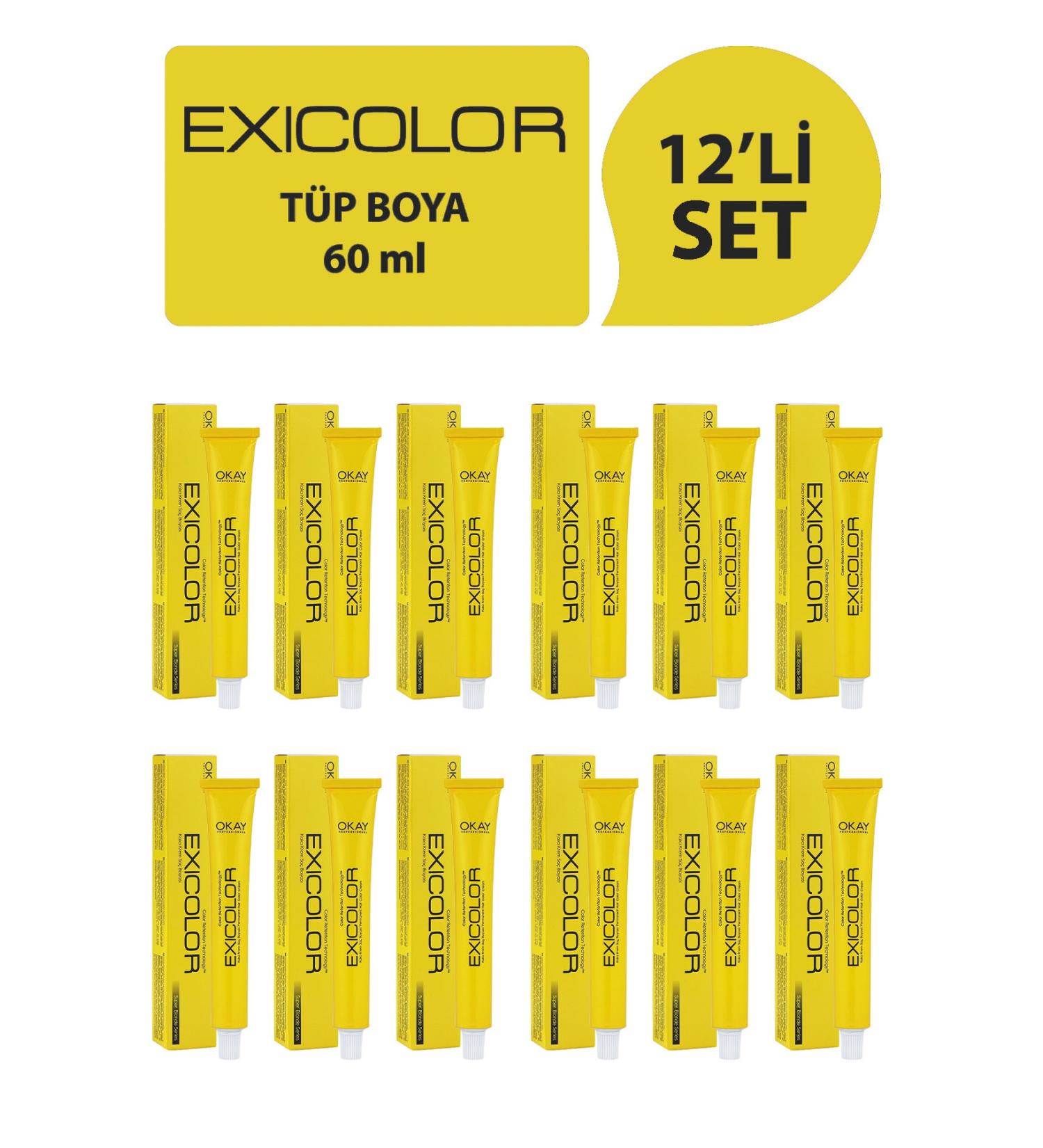 Exicolor Ex color 12.01 Intense Ash Super Lightening Hair Dye 60ml (Set of 12)