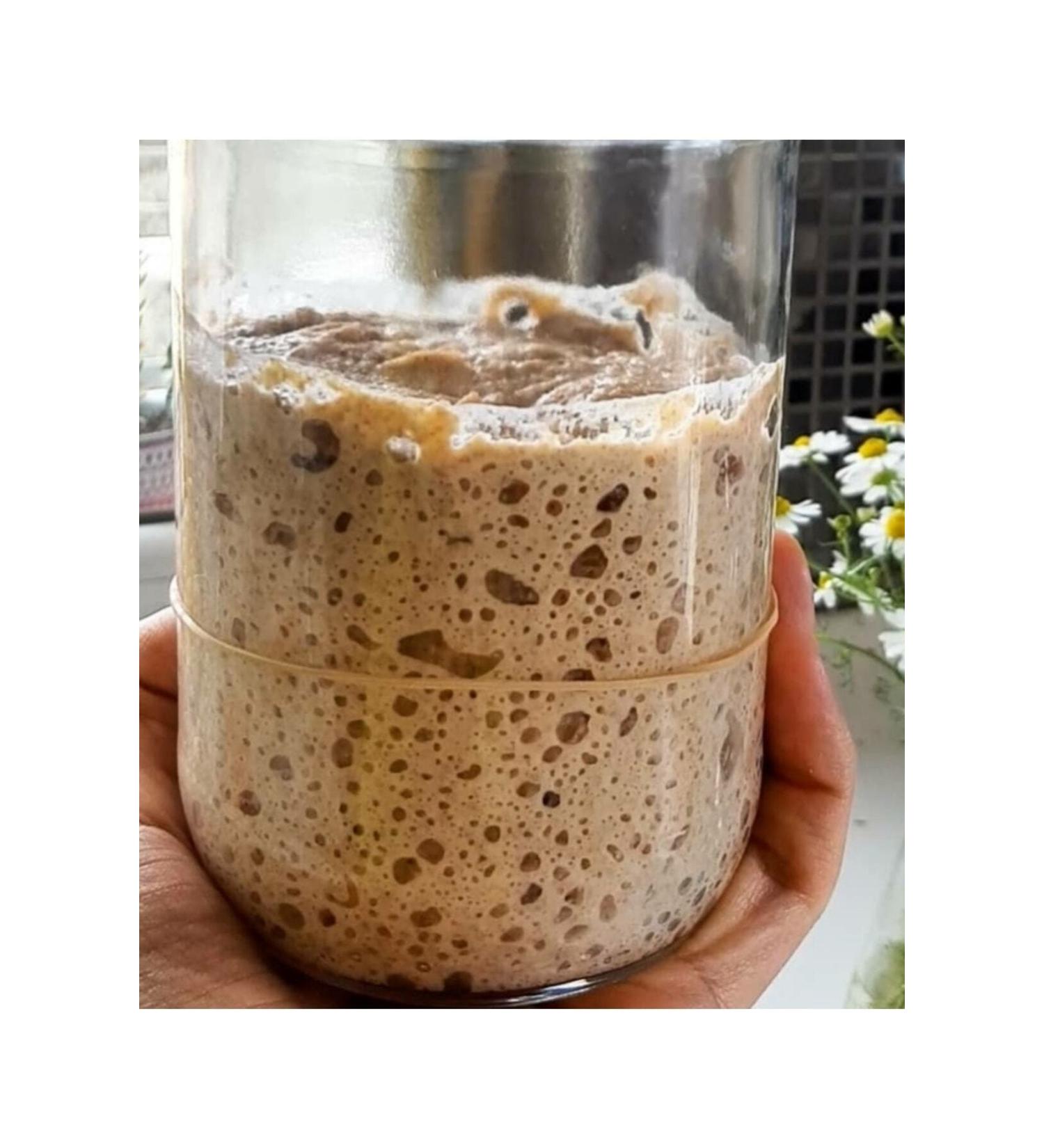 Trabzonvakf kebirunlumamuller Sourdough 100gr (15 years old)