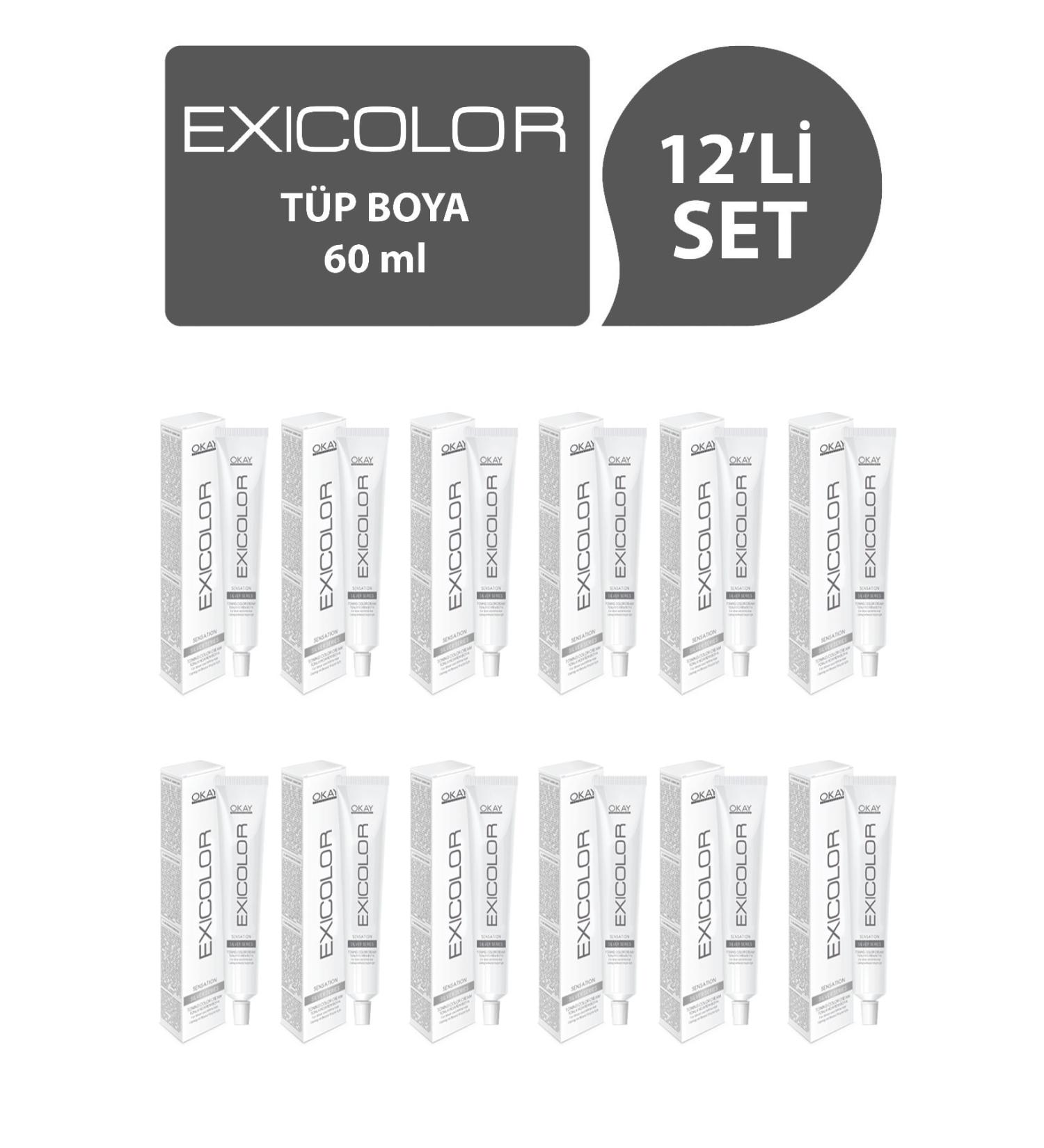 Exicolor Gunpowder Gray Hair Dye 60ml (Set of 12)